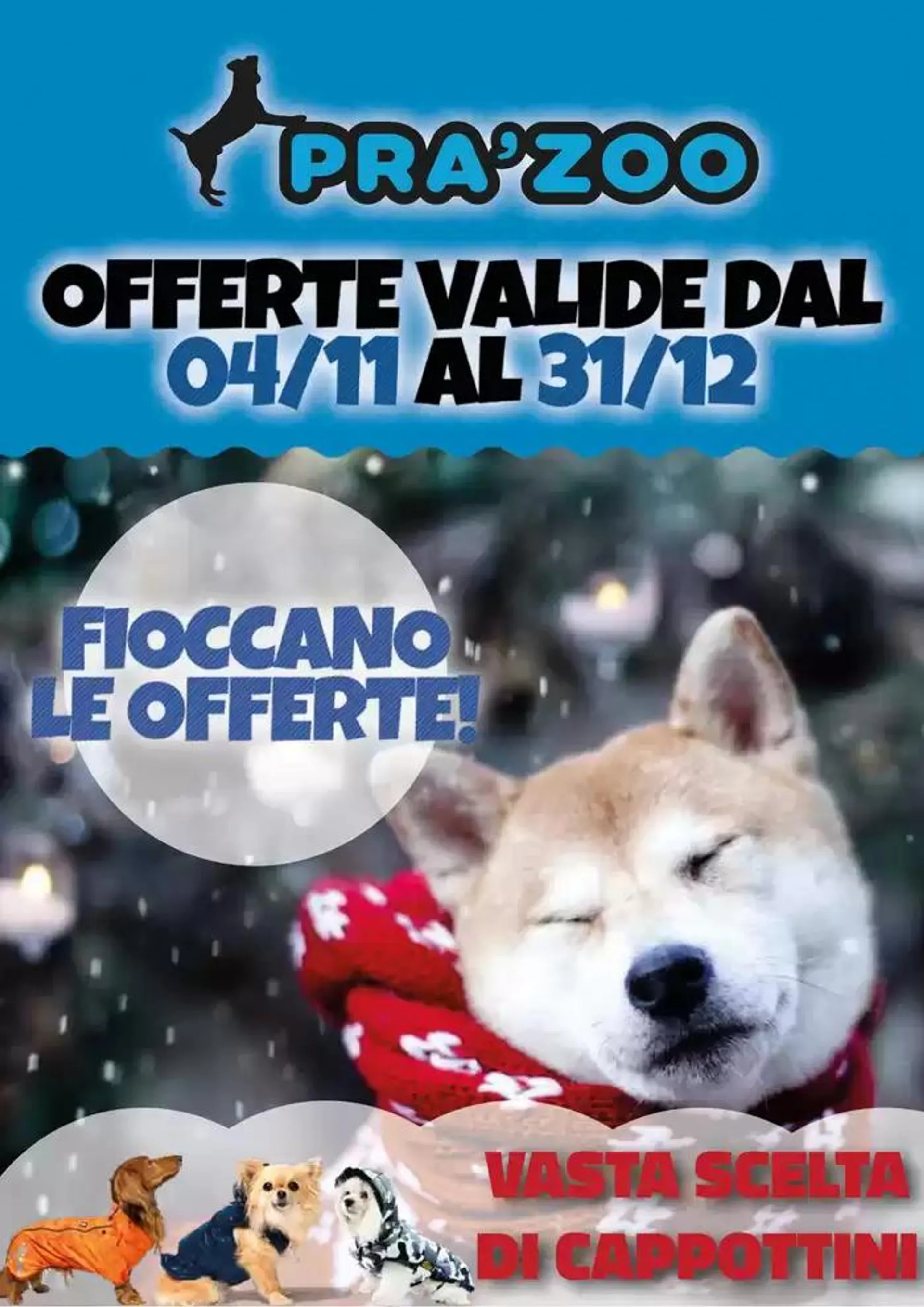 Fioccano le offerte! - 1