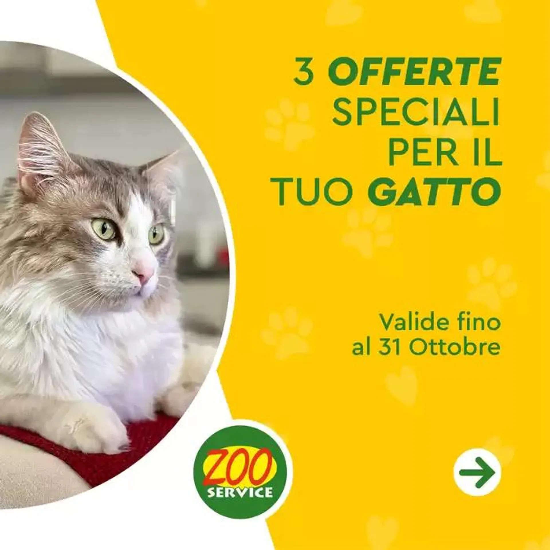 3 offerte speciali per il gatto  - 1