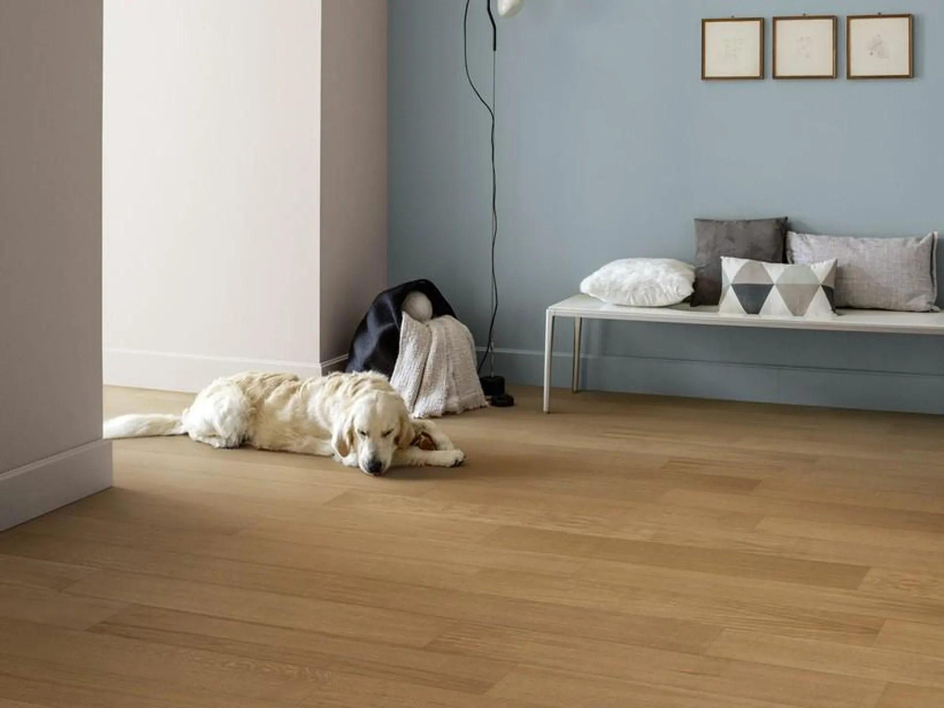 Plancia in Rovere Naturale con Base in Sughero - Greenhome Cognac