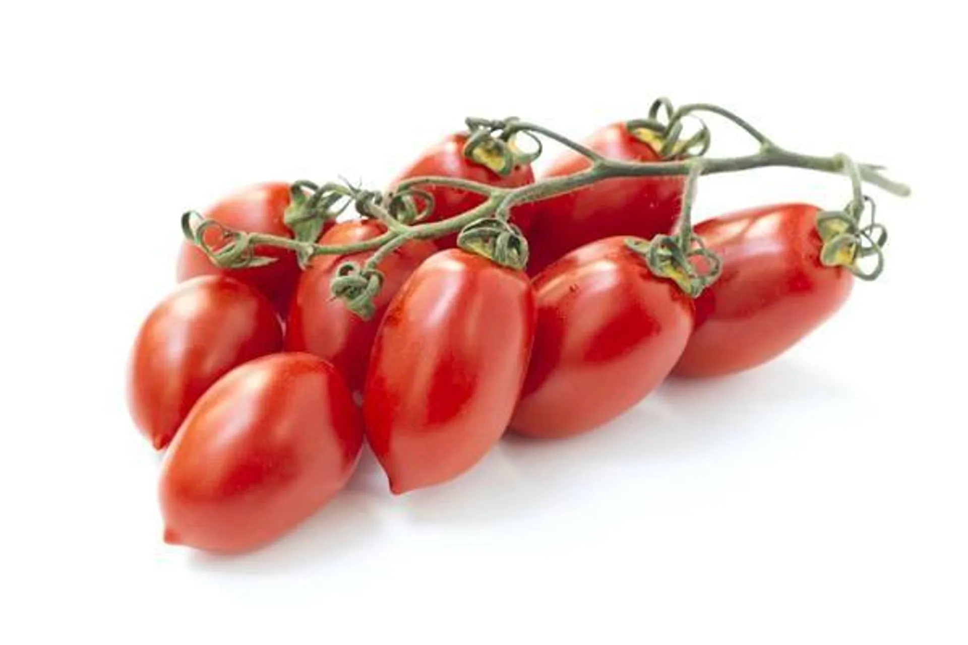 Pomodoro Piccadilly 500 gr.