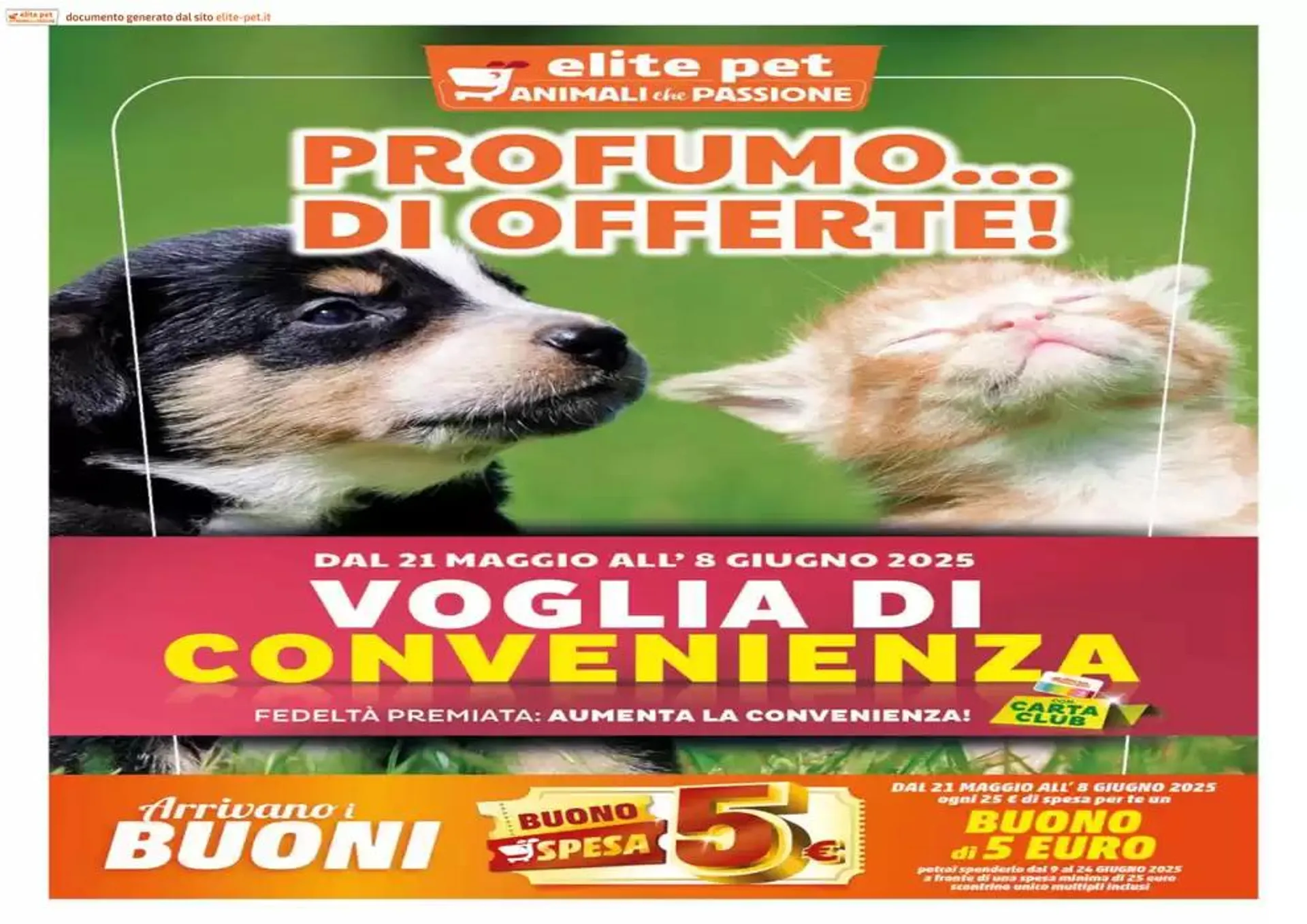 Profumo ... di offerte!  - 1