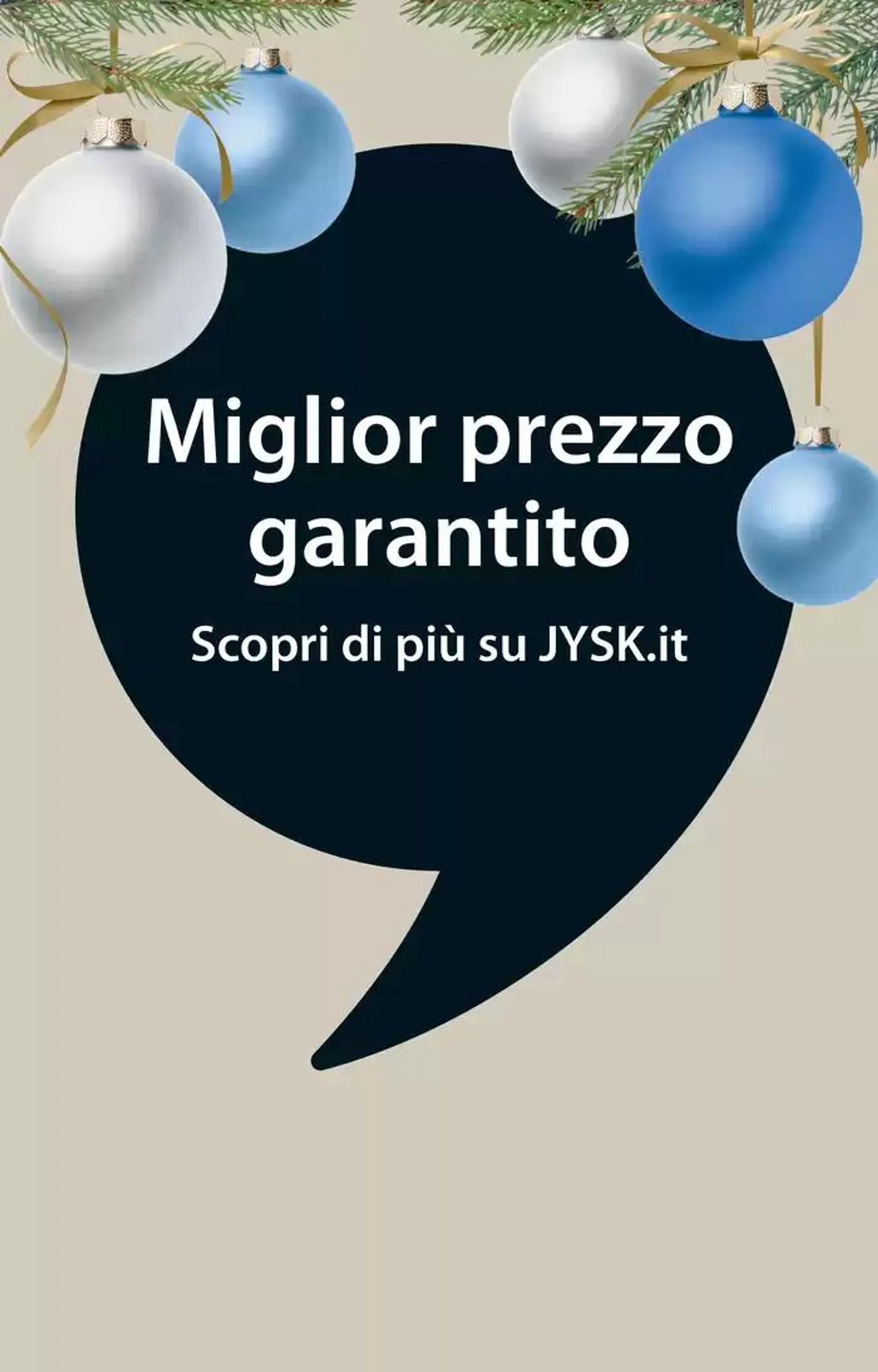 Grande festa. Grandi offerte. da 7 novembre a 1 dicembre di 2024 - Pagina del volantino 17