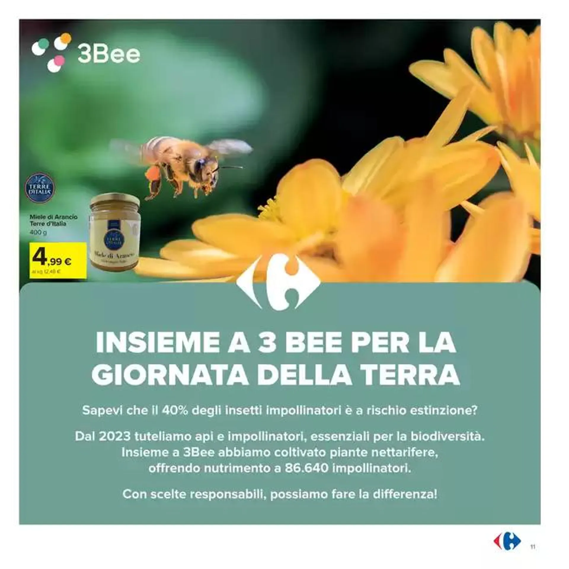 Sconti alla griglia da 22 aprile a 4 maggio di 2025 - Pagina del volantino 11