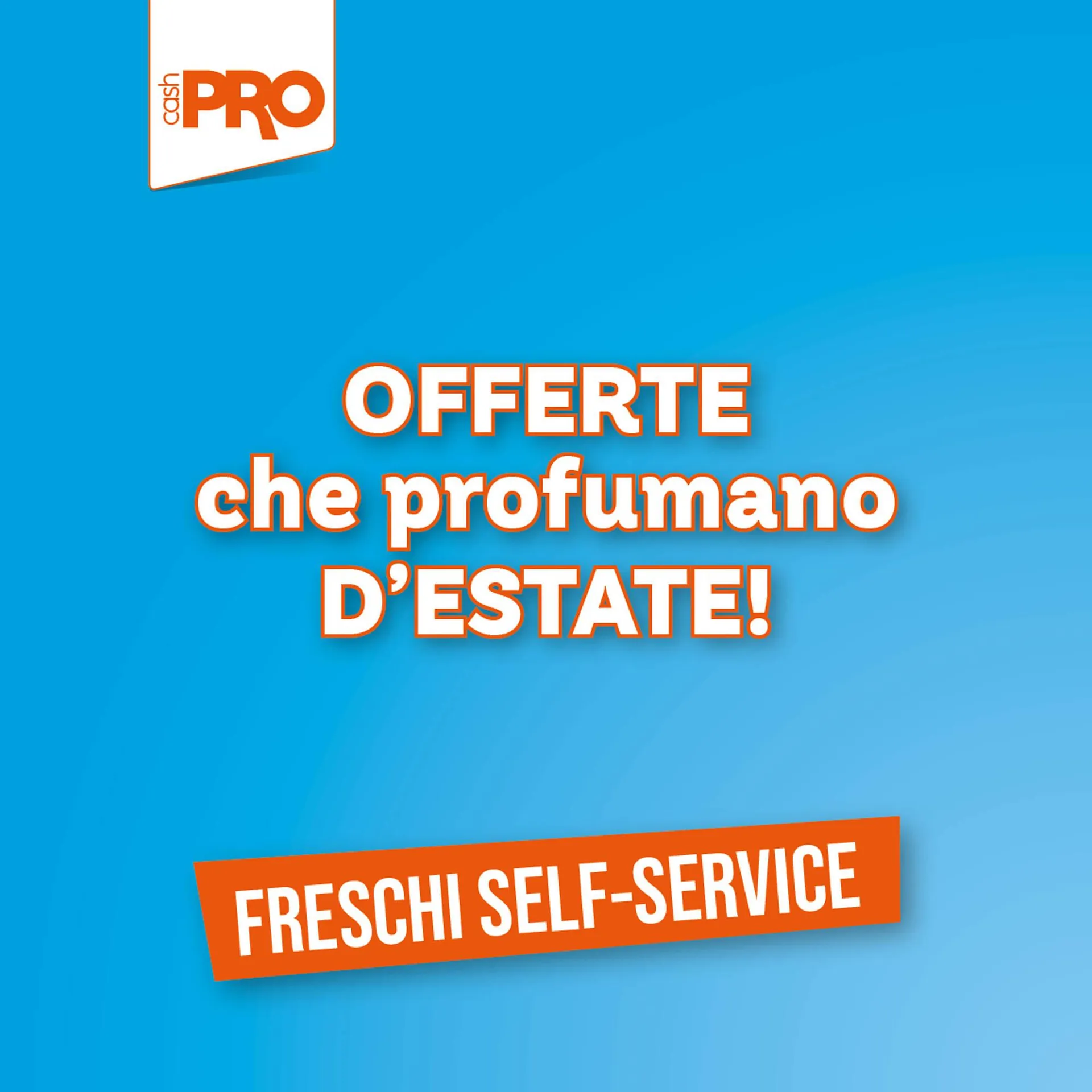 Volantino Cash pro da 9 luglio a 15 luglio di 2025 - Pagina del volantino 1