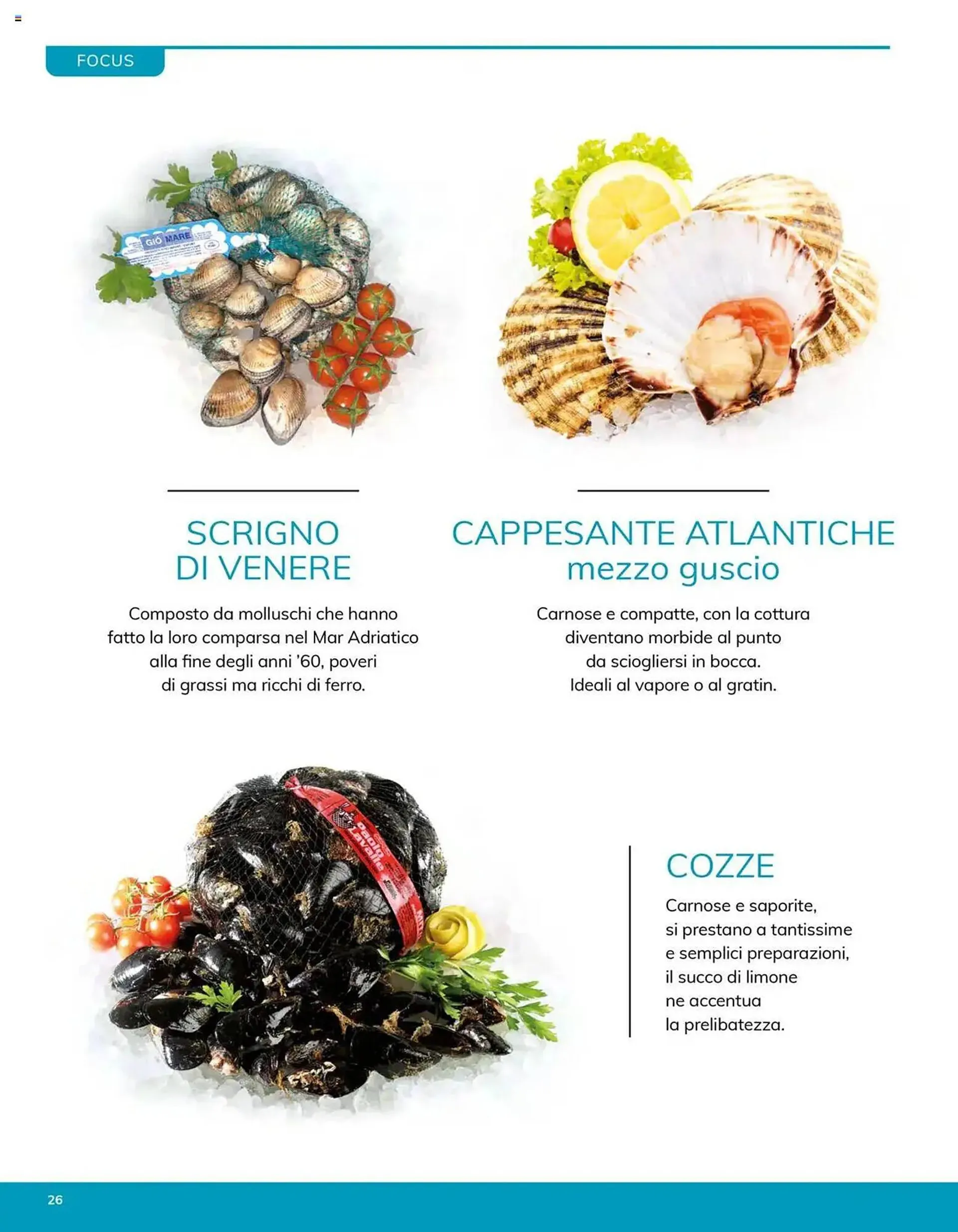 Volantino Basko da 23 giugno a 30 giugno di 2025 - Pagina del volantino 26