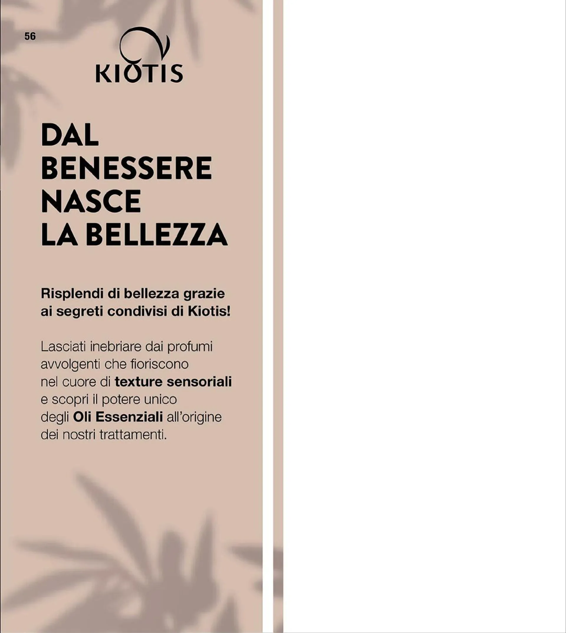Stanhome da 1 aprile a 30 aprile di 2025 - Pagina del volantino 57
