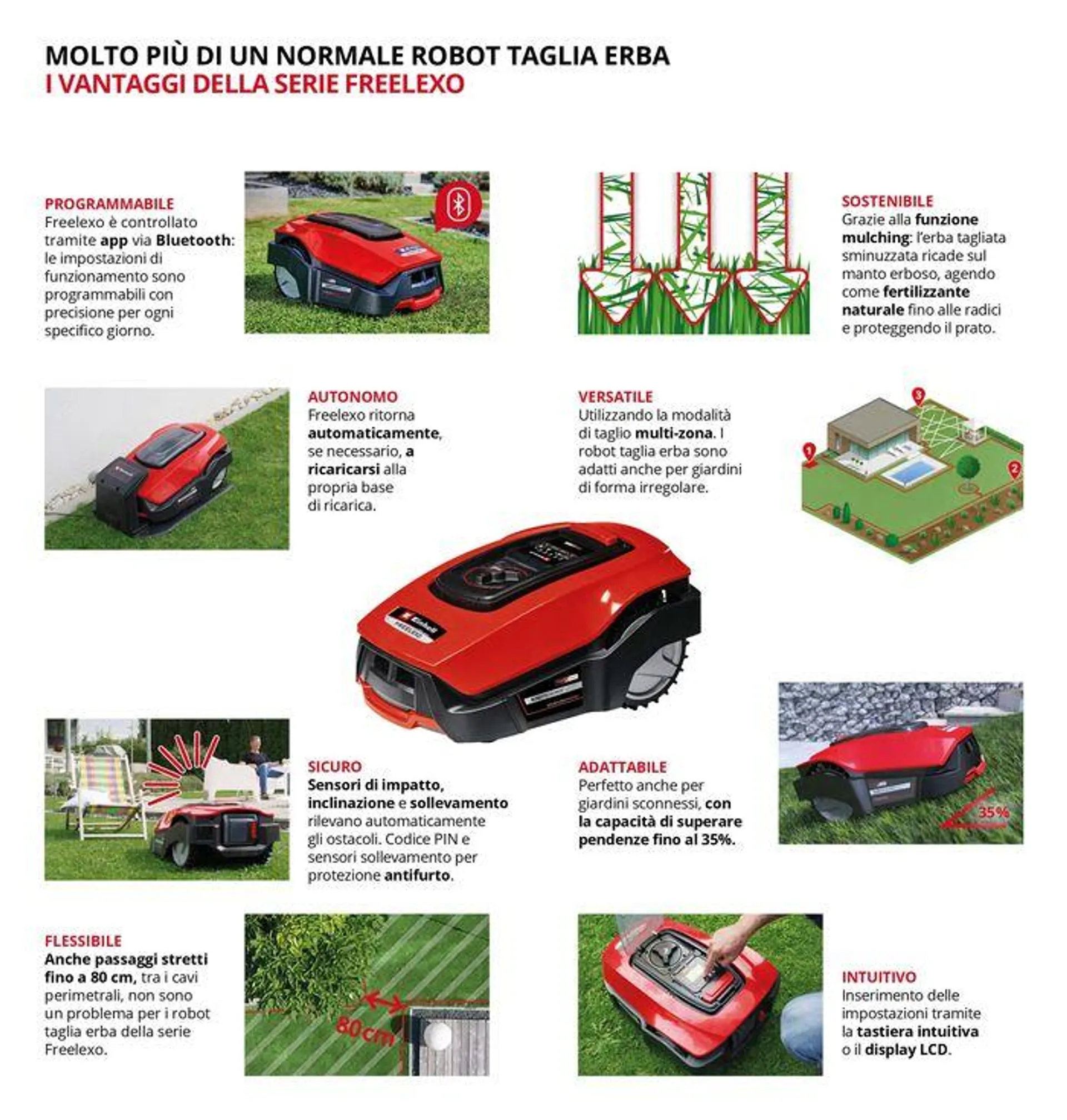 Catalogo - 7