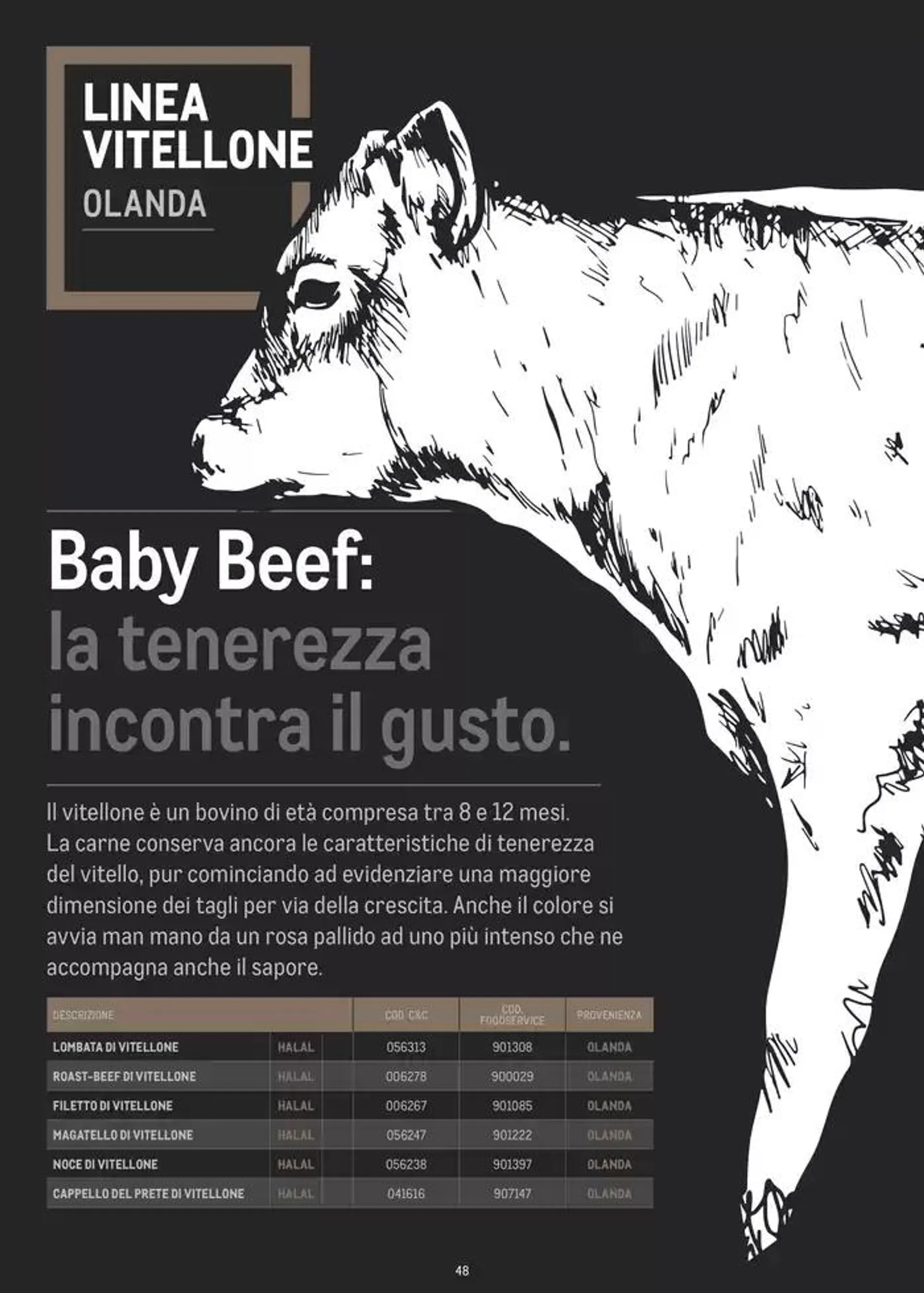 CATALOGO CARNE 2024 da 2 gennaio a 31 agosto di 2025 - Pagina del volantino 48