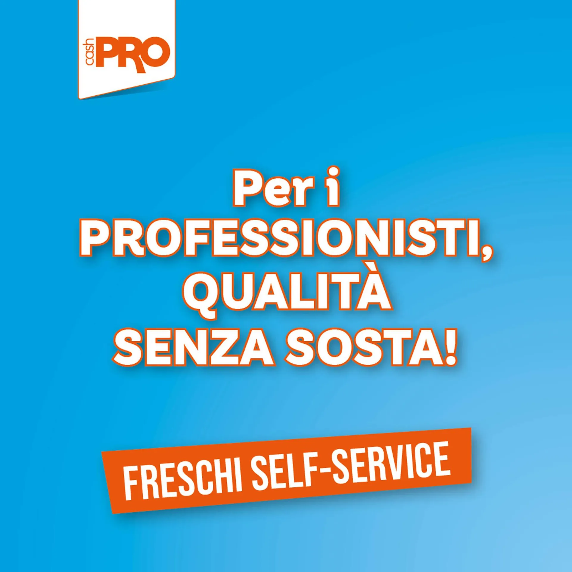 Volantino Cash pro da 22 luglio a 23 luglio di 2025 - Pagina del volantino 1