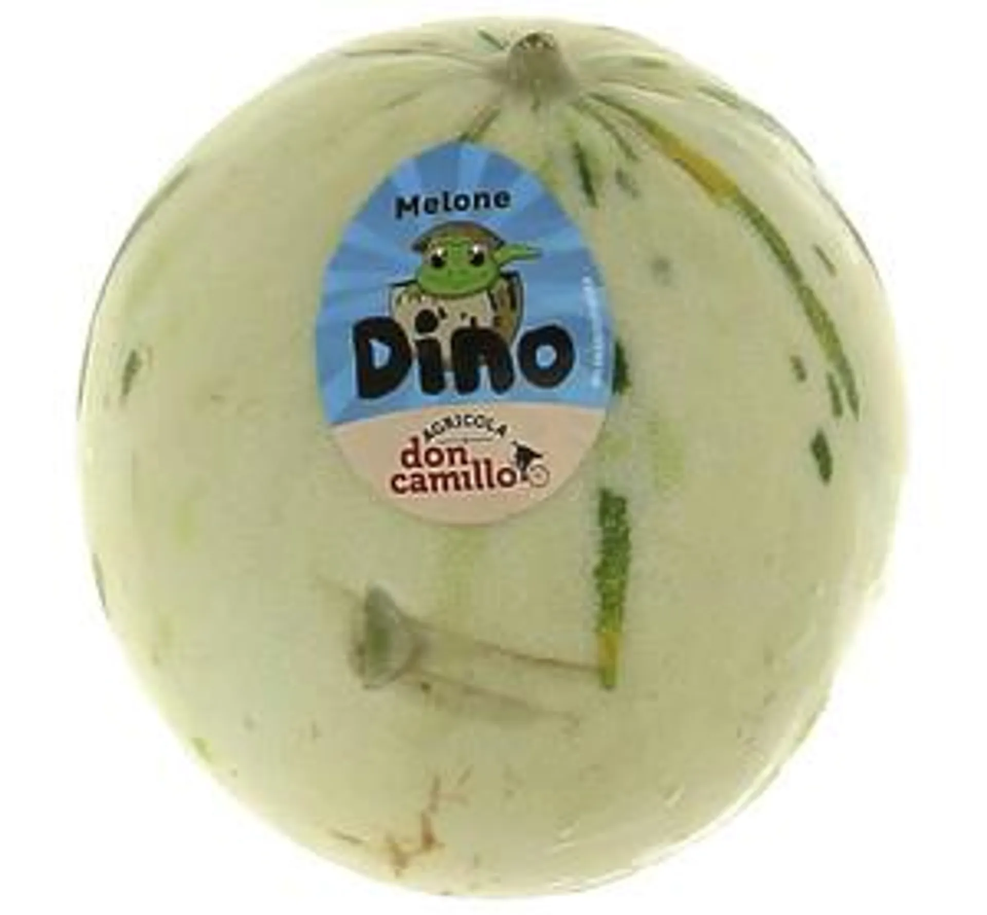 Melone Liscio Dino