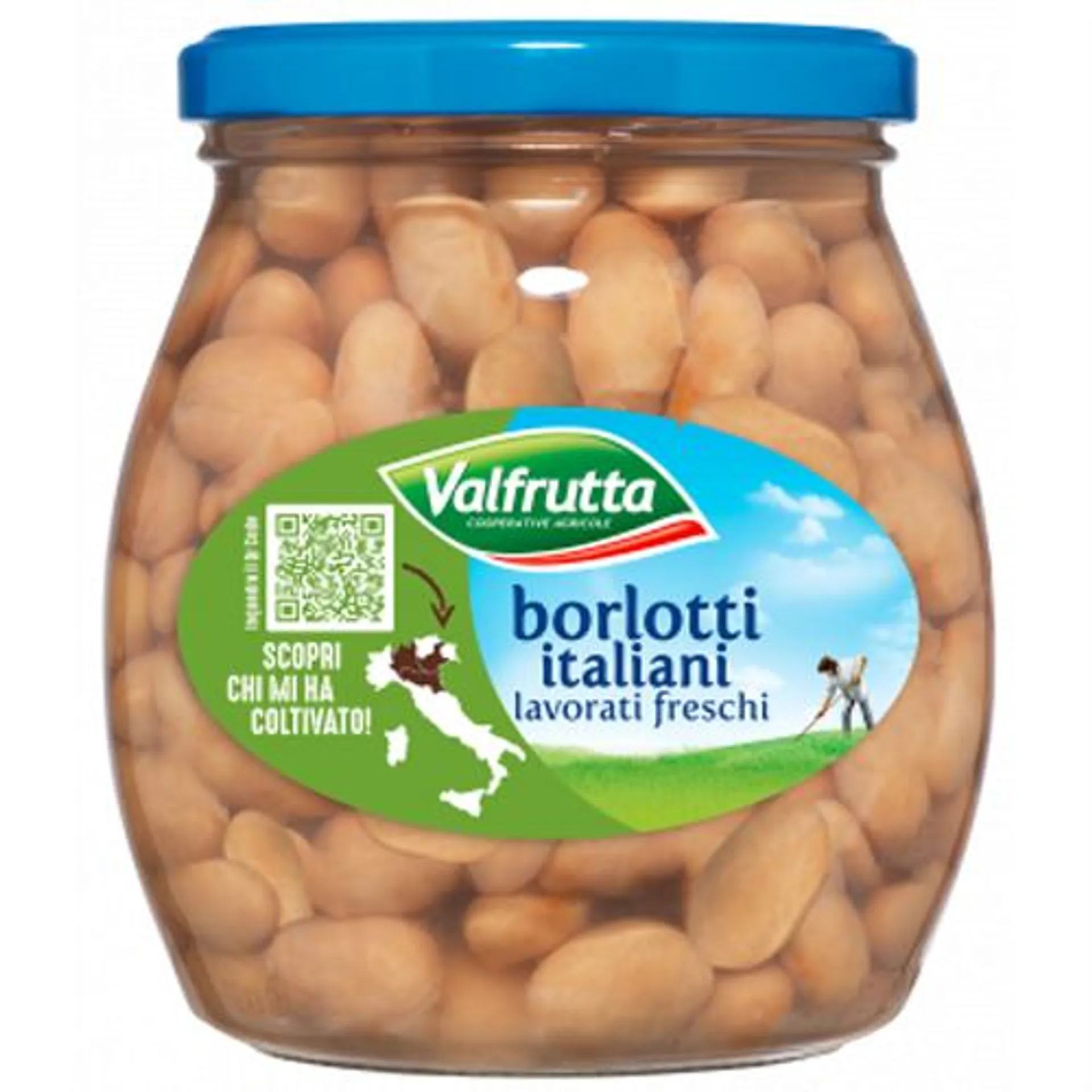 VALFRUTTA FAGIOLI BORLOTTI GR.400