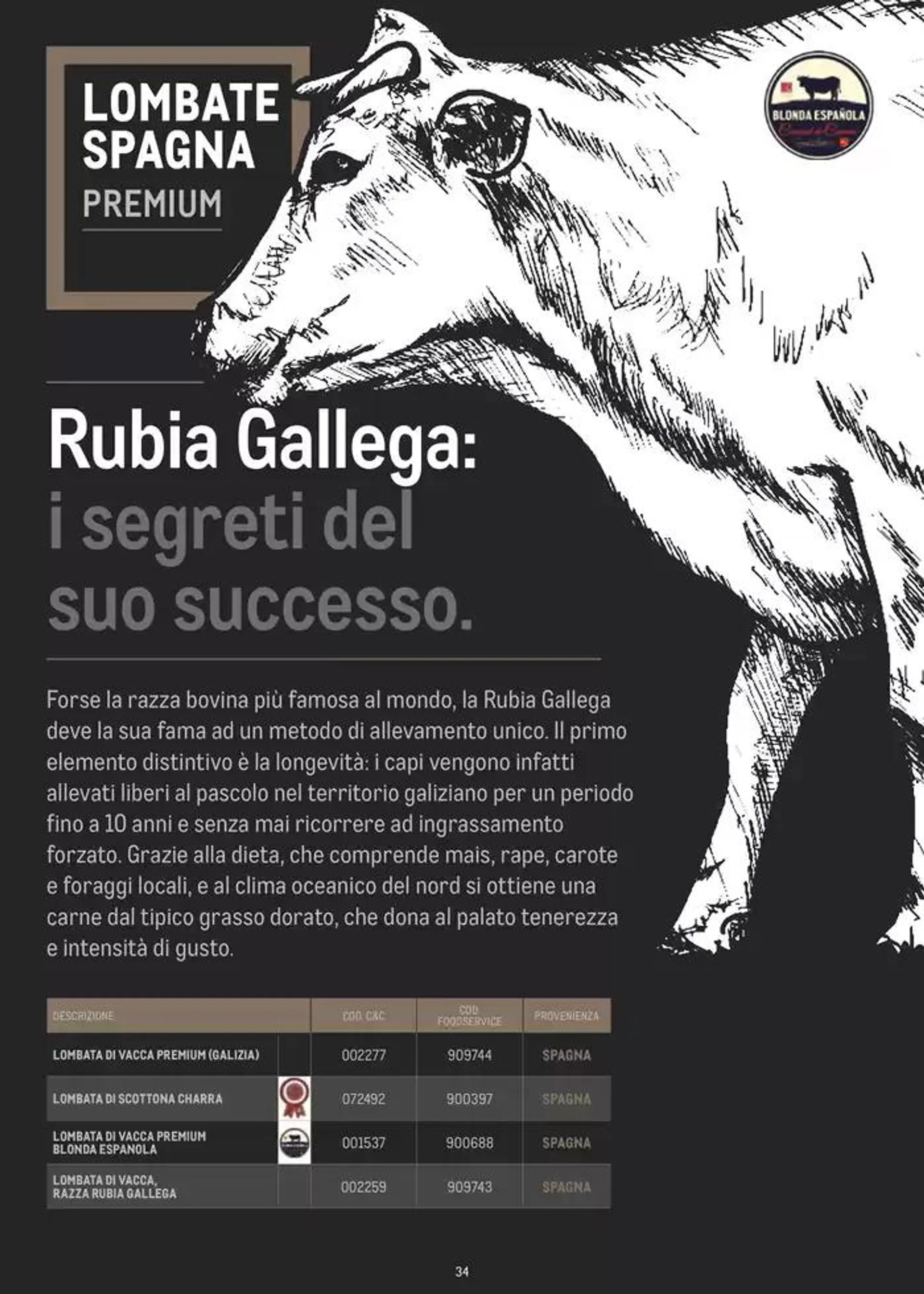 CATALOGO CARNE 2024 da 2 gennaio a 31 agosto di 2025 - Pagina del volantino 34