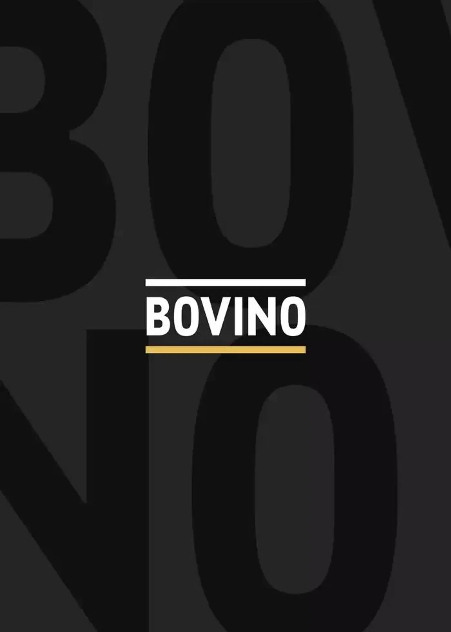 CATALOGO CARNE 2024 da 2 gennaio a 31 agosto di 2025 - Pagina del volantino 4