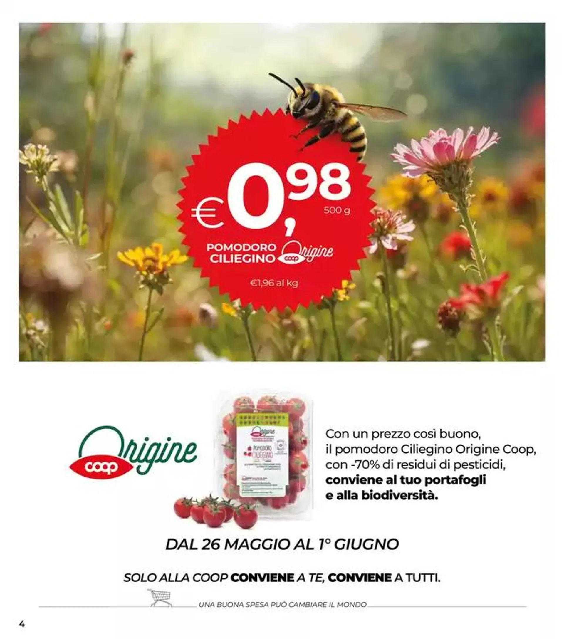 Dal 22 maggio al 4 giugno 2025 da 22 maggio a 4 giugno di 2025 - Pagina del volantino 4