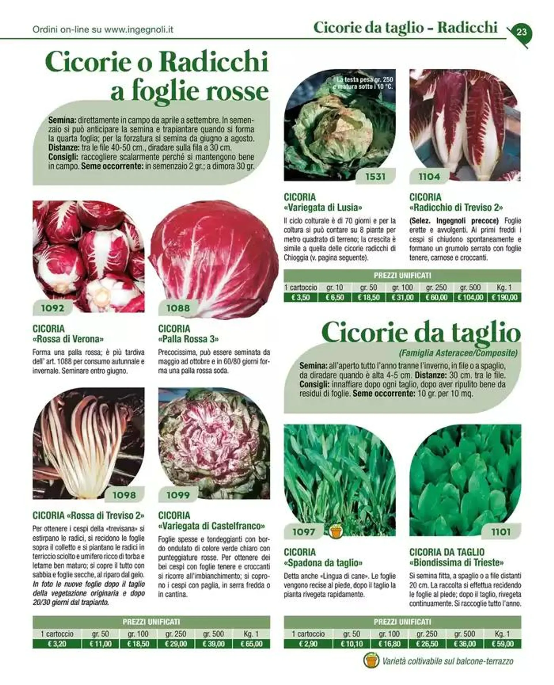Catalogo guida 2025 da 20 gennaio a 31 dicembre di 2025 - Pagina del volantino 25