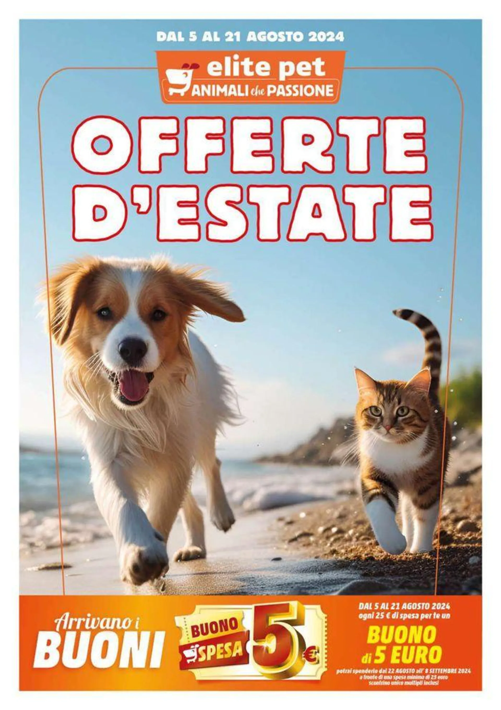 Offerte destate - 1