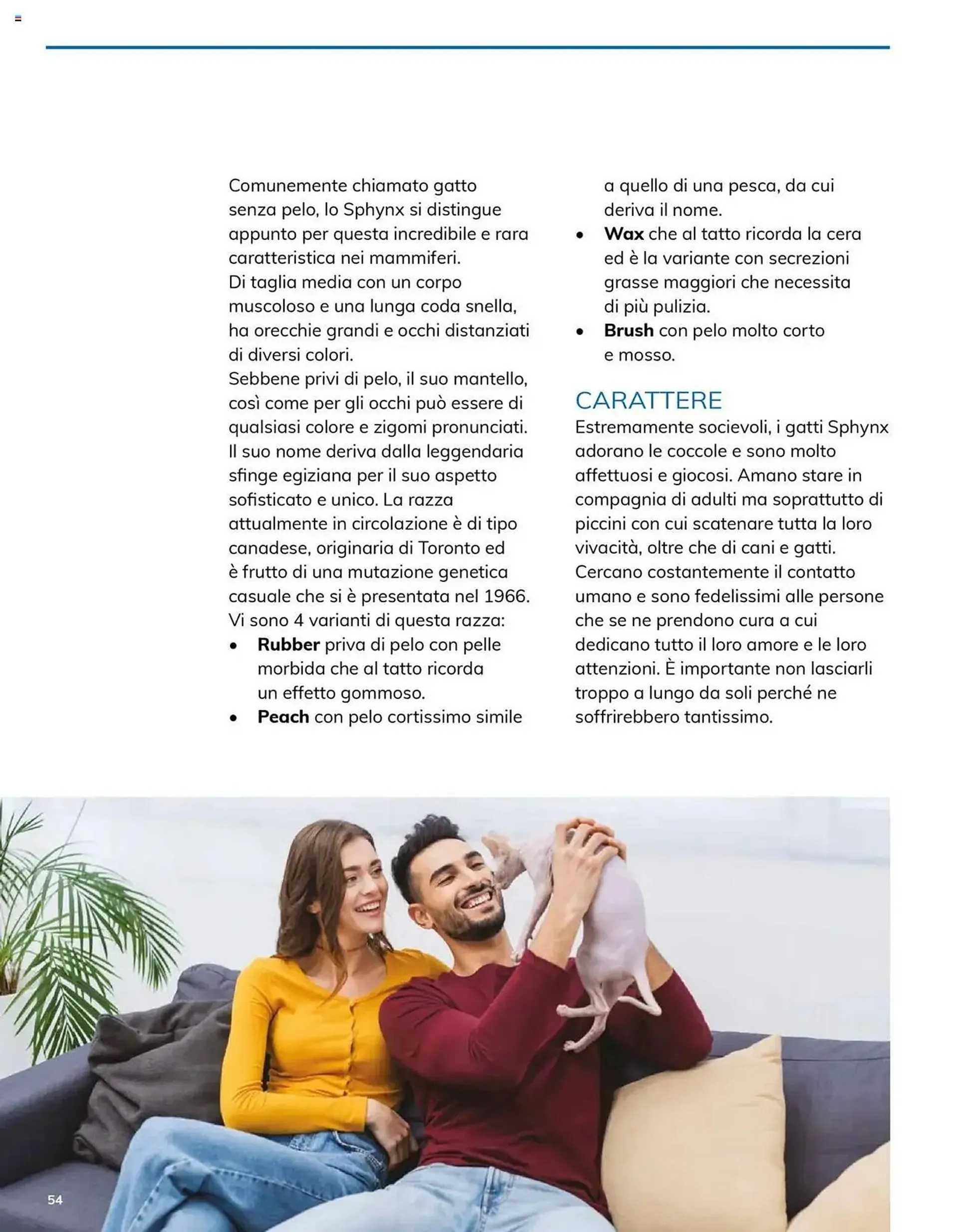 Volantino Basko da 8 maggio a 30 giugno di 2025 - Pagina del volantino 122