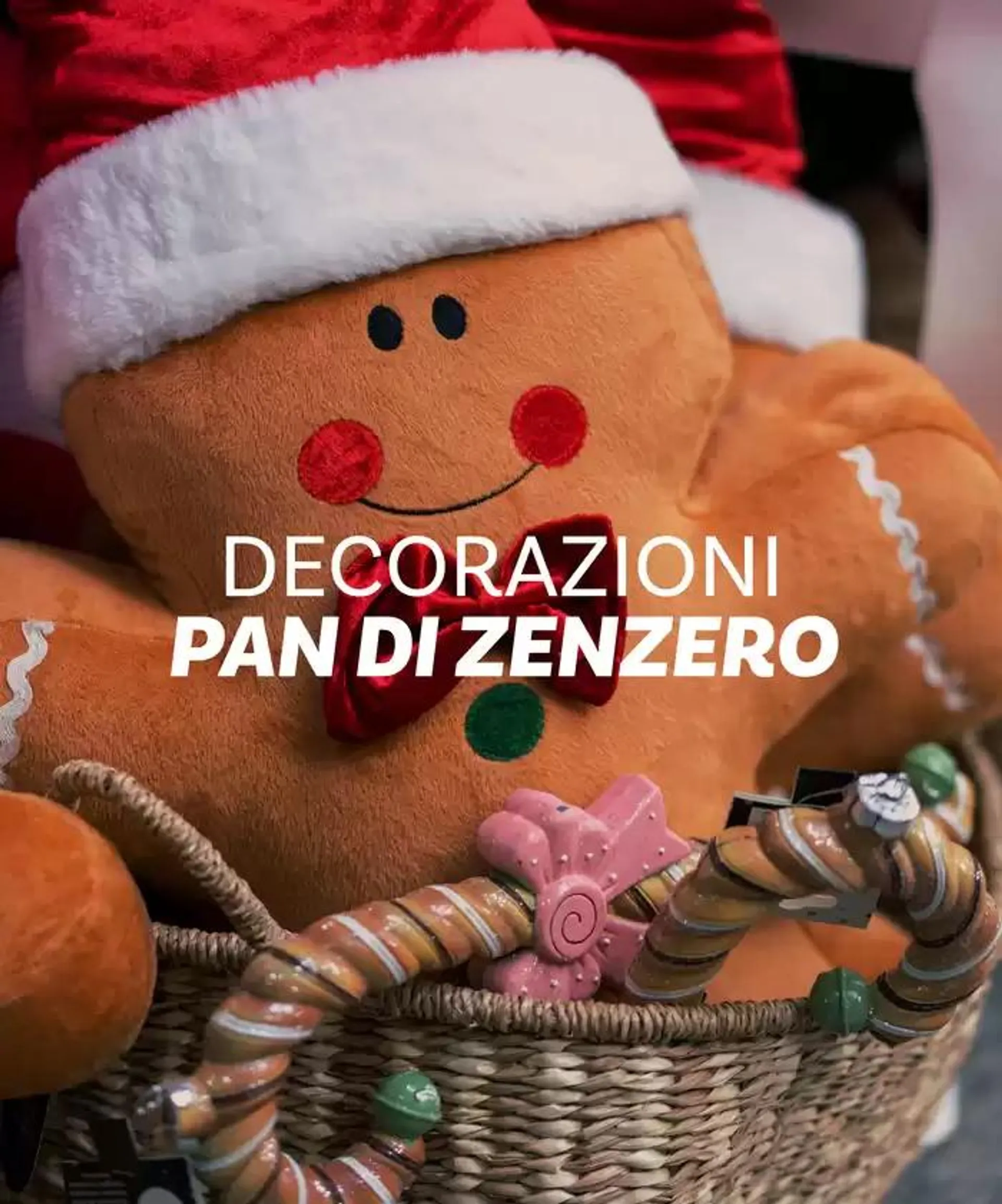 XMas Decor da 14 novembre a 8 dicembre di 2024 - Pagina del volantino 10