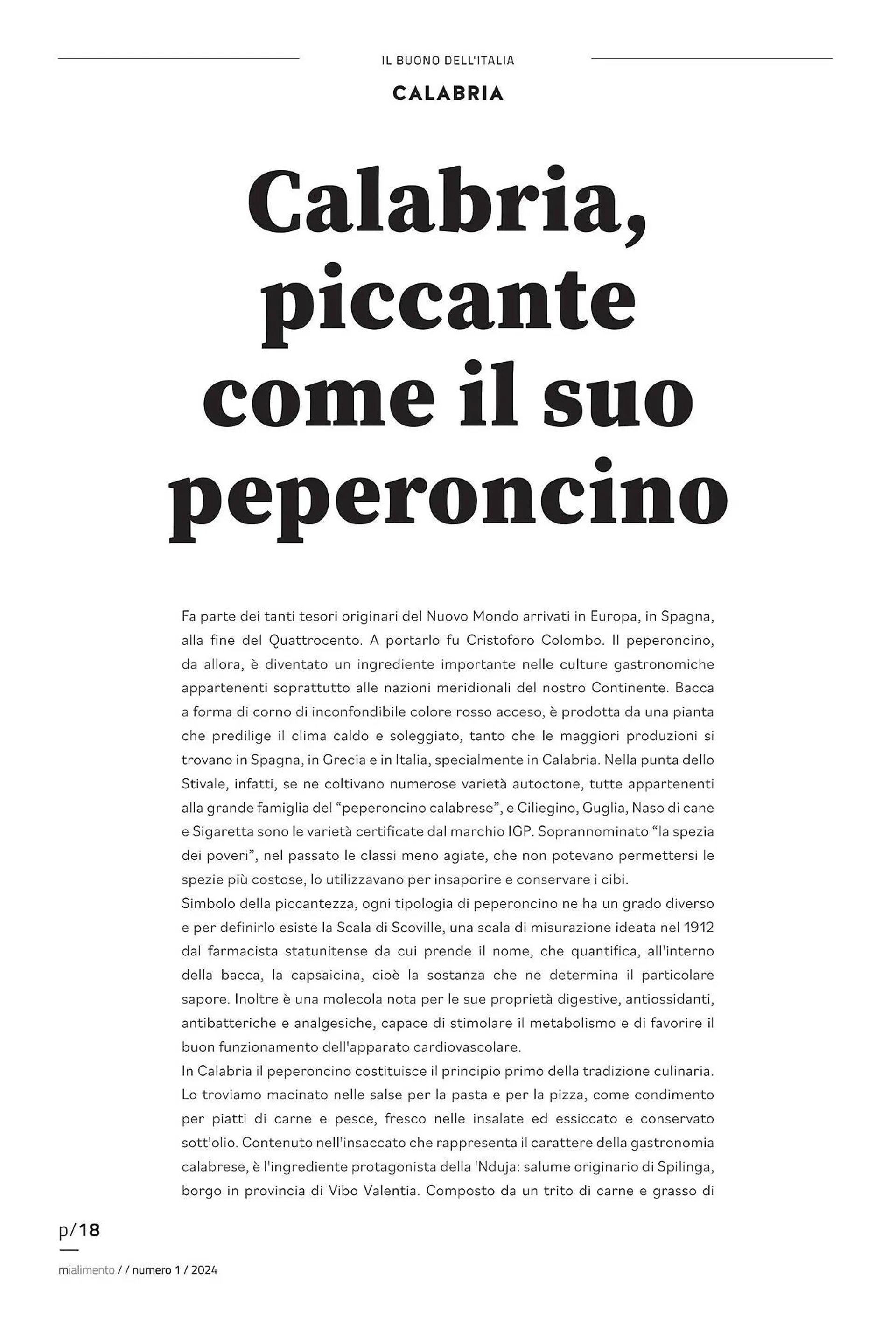 Volantino Coal da 24 aprile a 30 dicembre di 2024 - Pagina del volantino 18