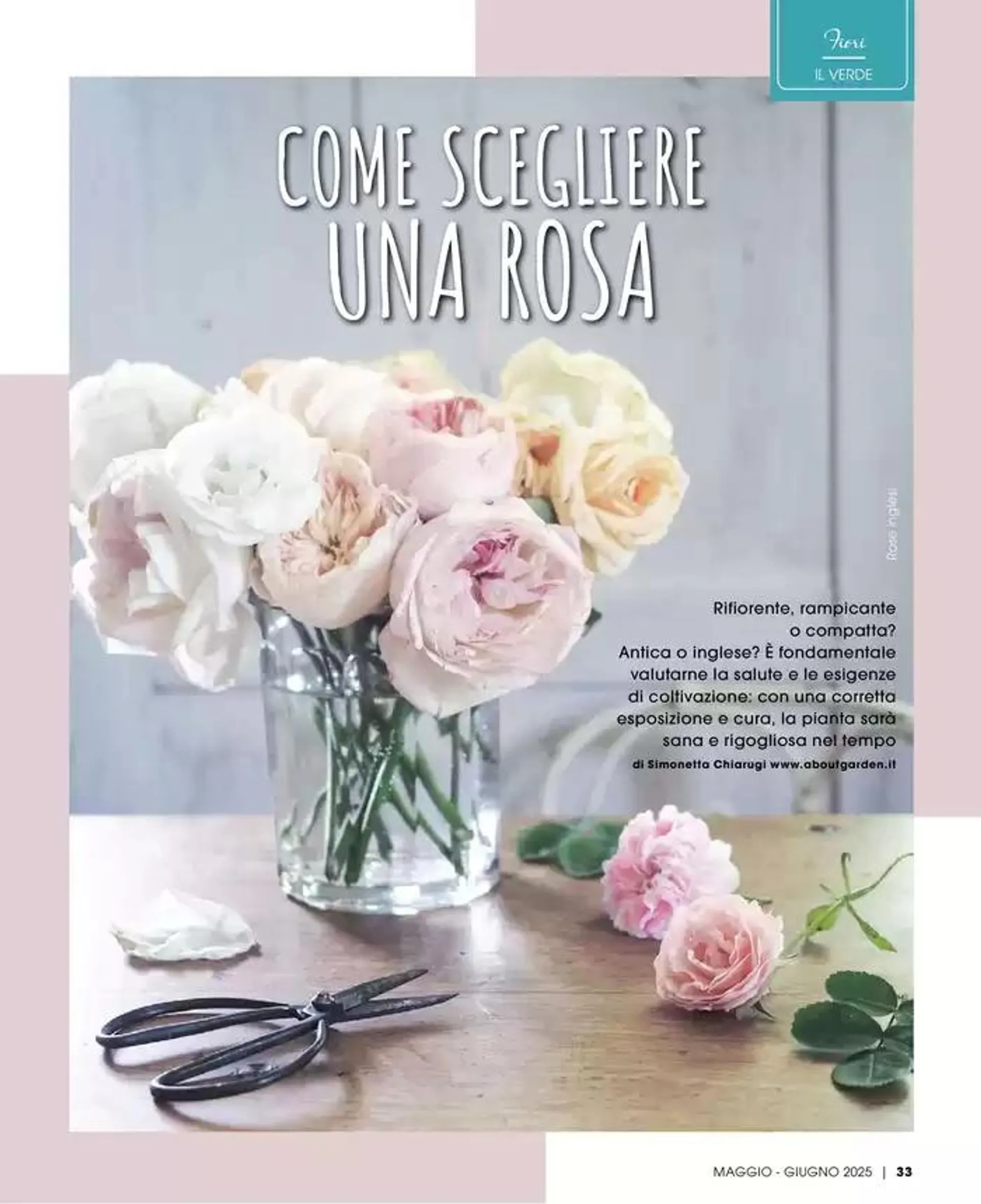 Catalogo A&O da 1 maggio a 30 giugno di 2025 - Pagina del volantino 34