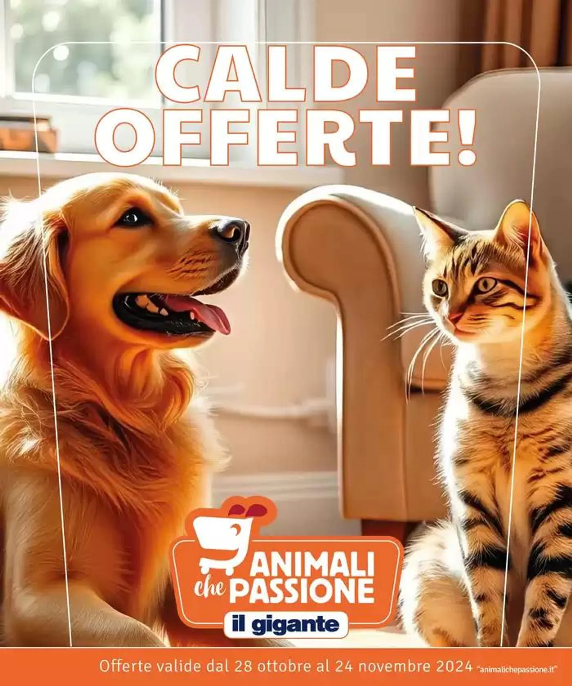 Calde offerte! - 1