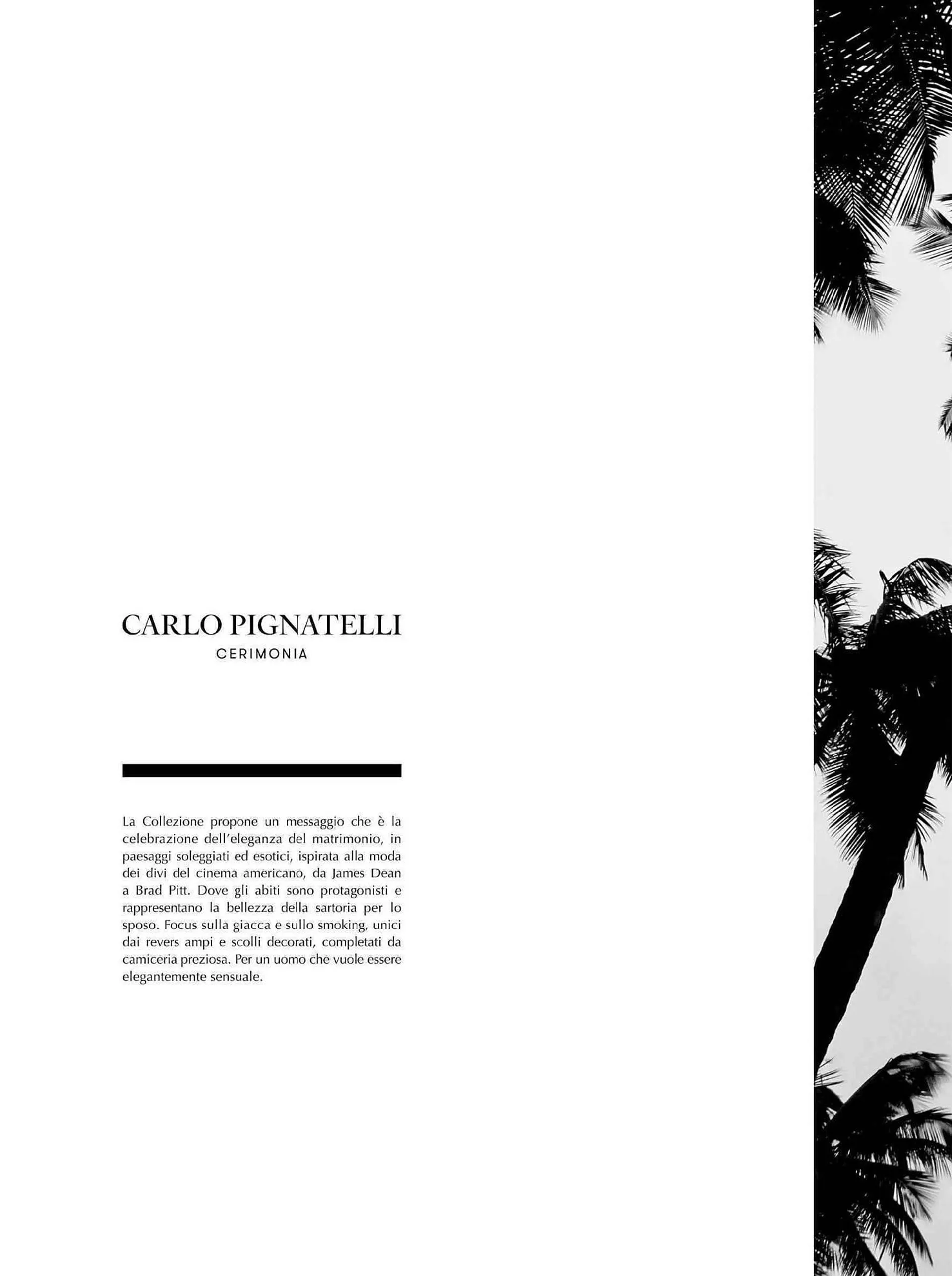 Volantino Carlo Pignatelli da 1 febbraio a 15 febbraio di 2024 - Pagina del volantino 2