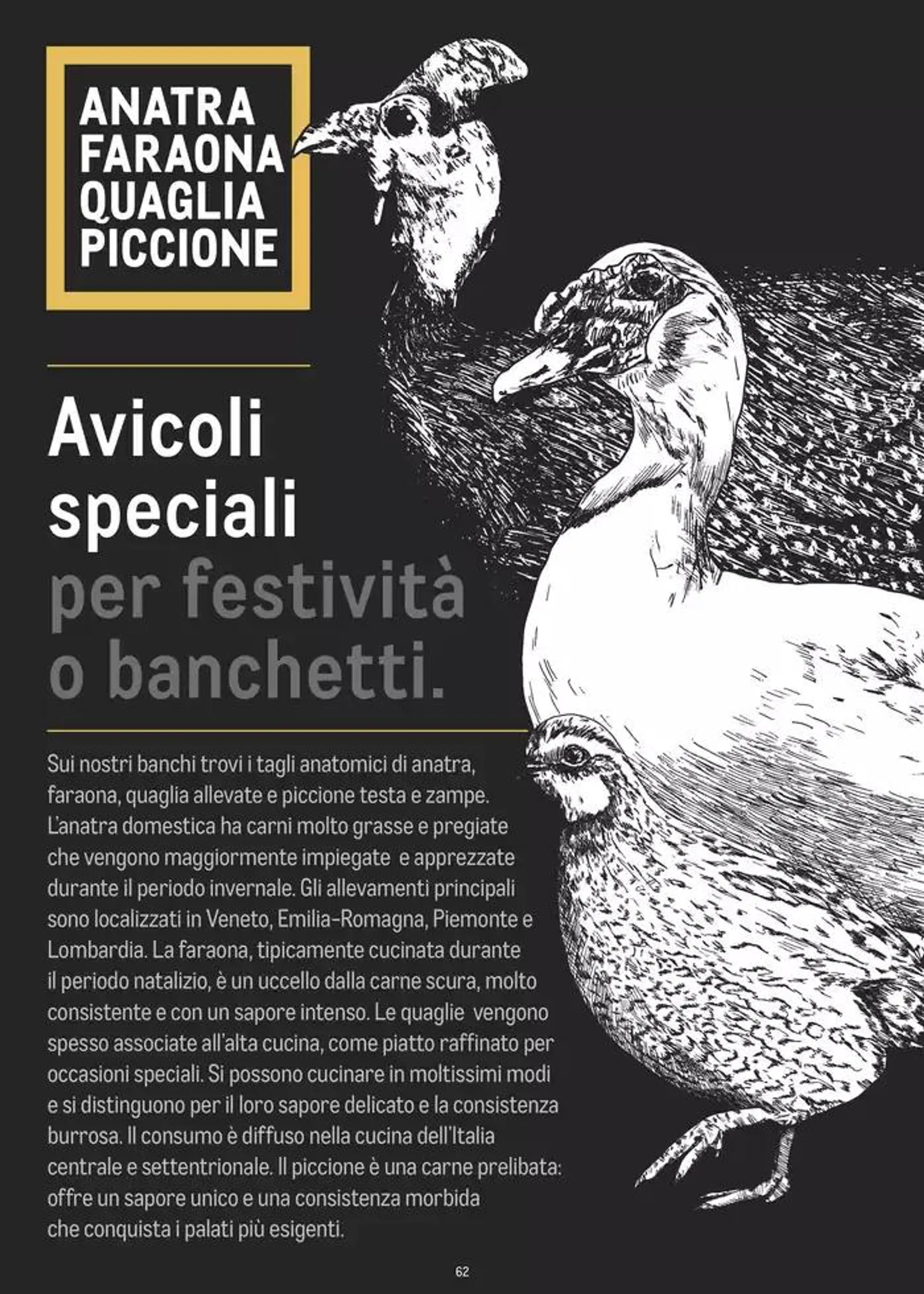 CATALOGO CARNE 2024 da 2 gennaio a 31 agosto di 2025 - Pagina del volantino 62