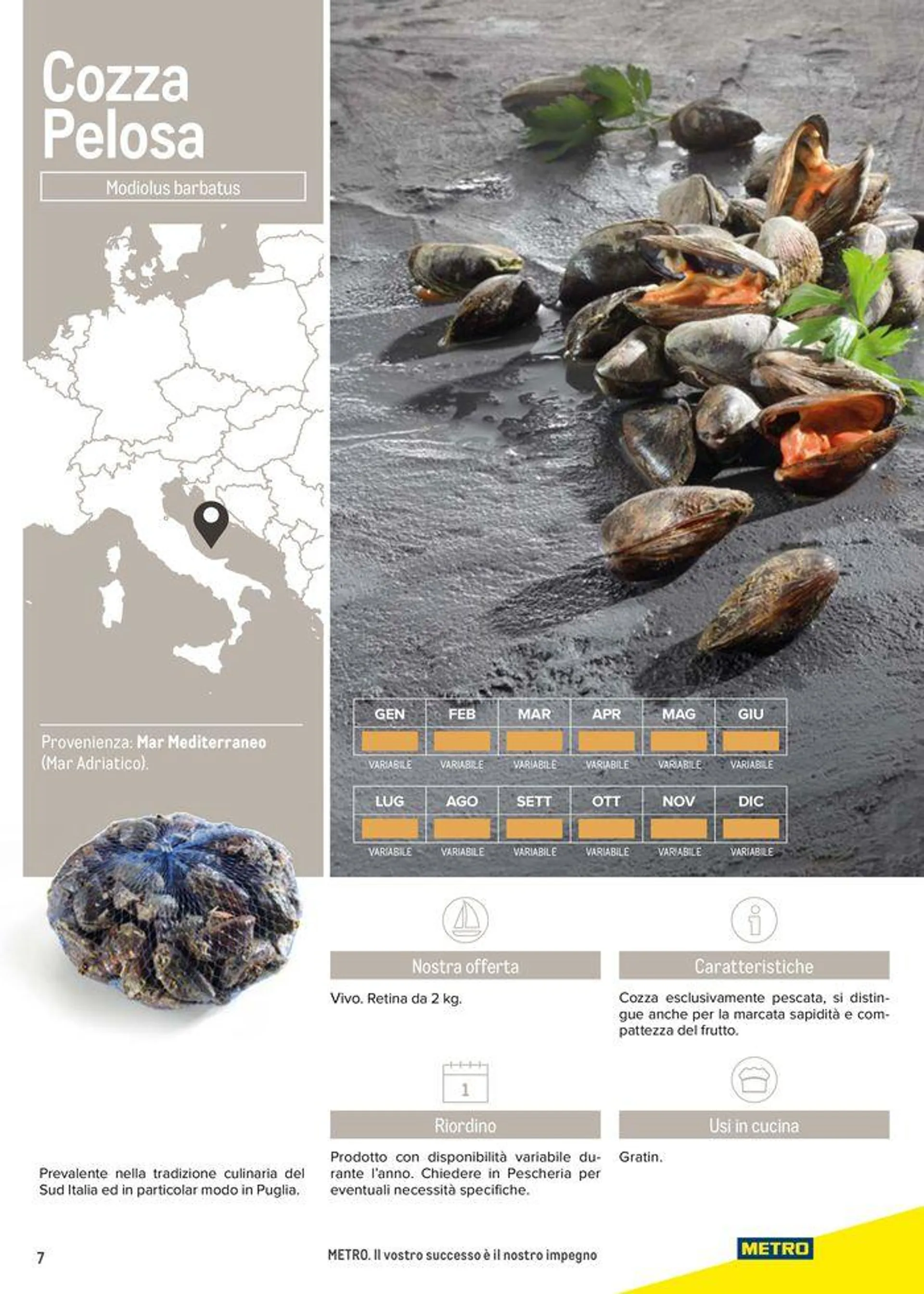 Catalogo Frutti di mare da 11 luglio a 31 luglio di 2025 - Pagina del volantino 7