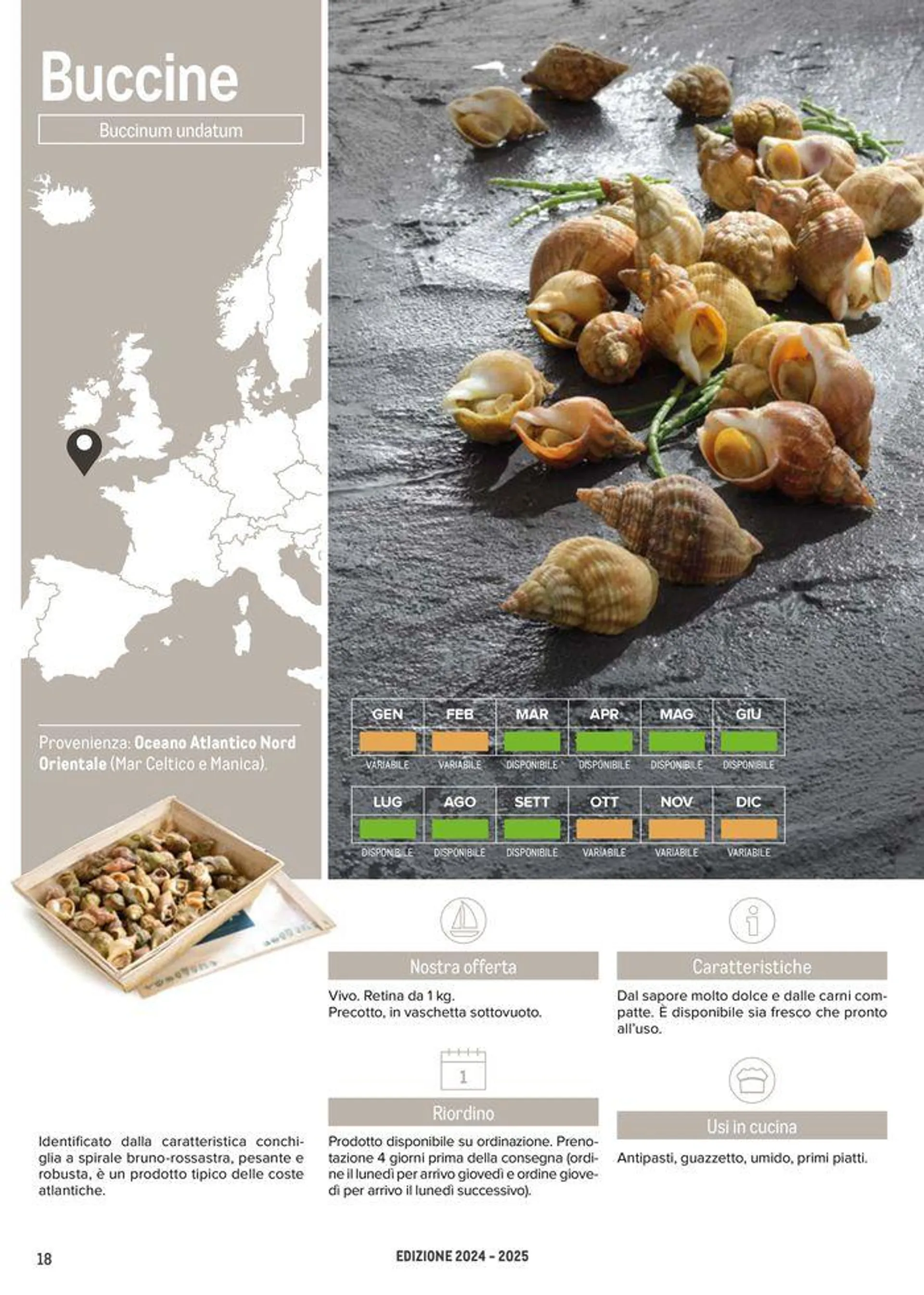 Catalogo Frutti di mare da 11 luglio a 31 luglio di 2025 - Pagina del volantino 18