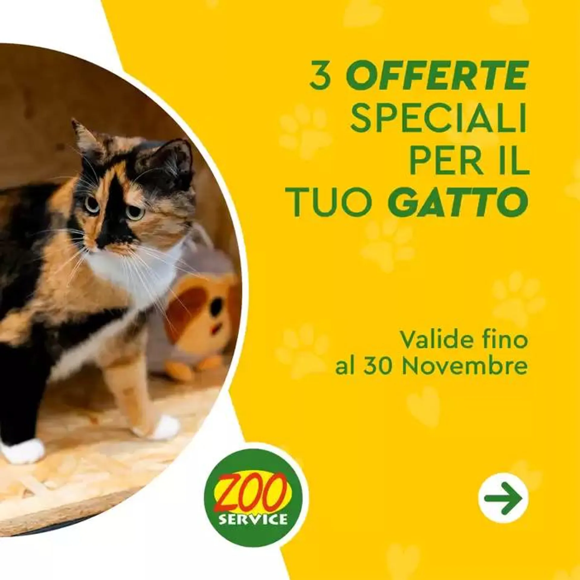 3 offerte speciali per il tuo gatto - 1