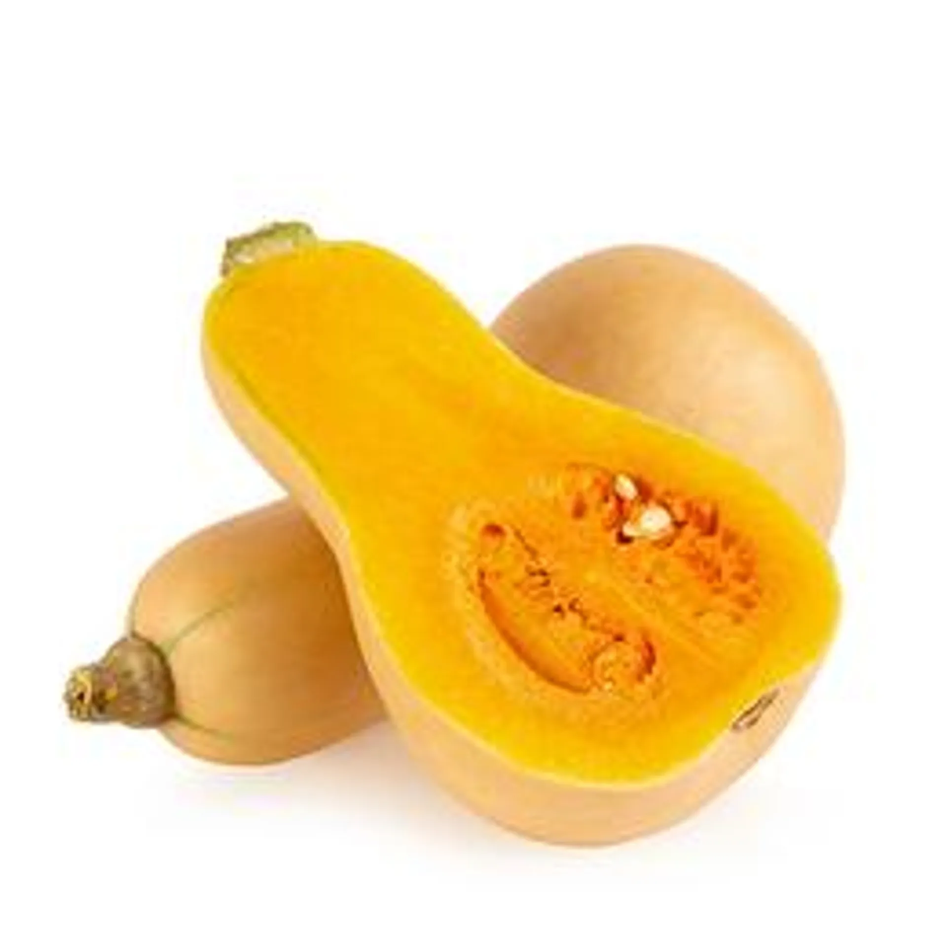 Zucca Violina sfusa