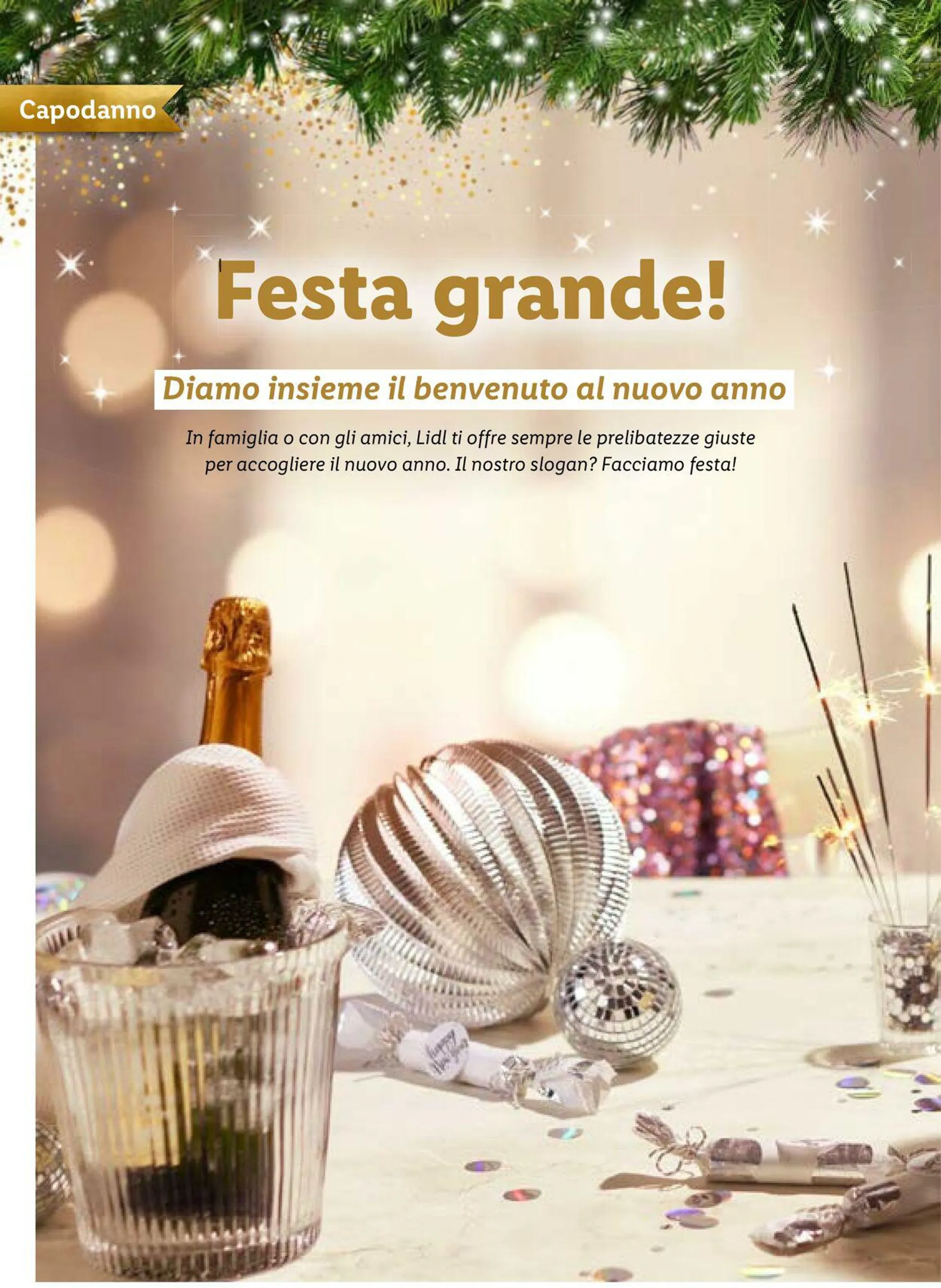 Lidl Volantino attuale da 3 dicembre a 17 dicembre di 2023 - Pagina del volantino 44