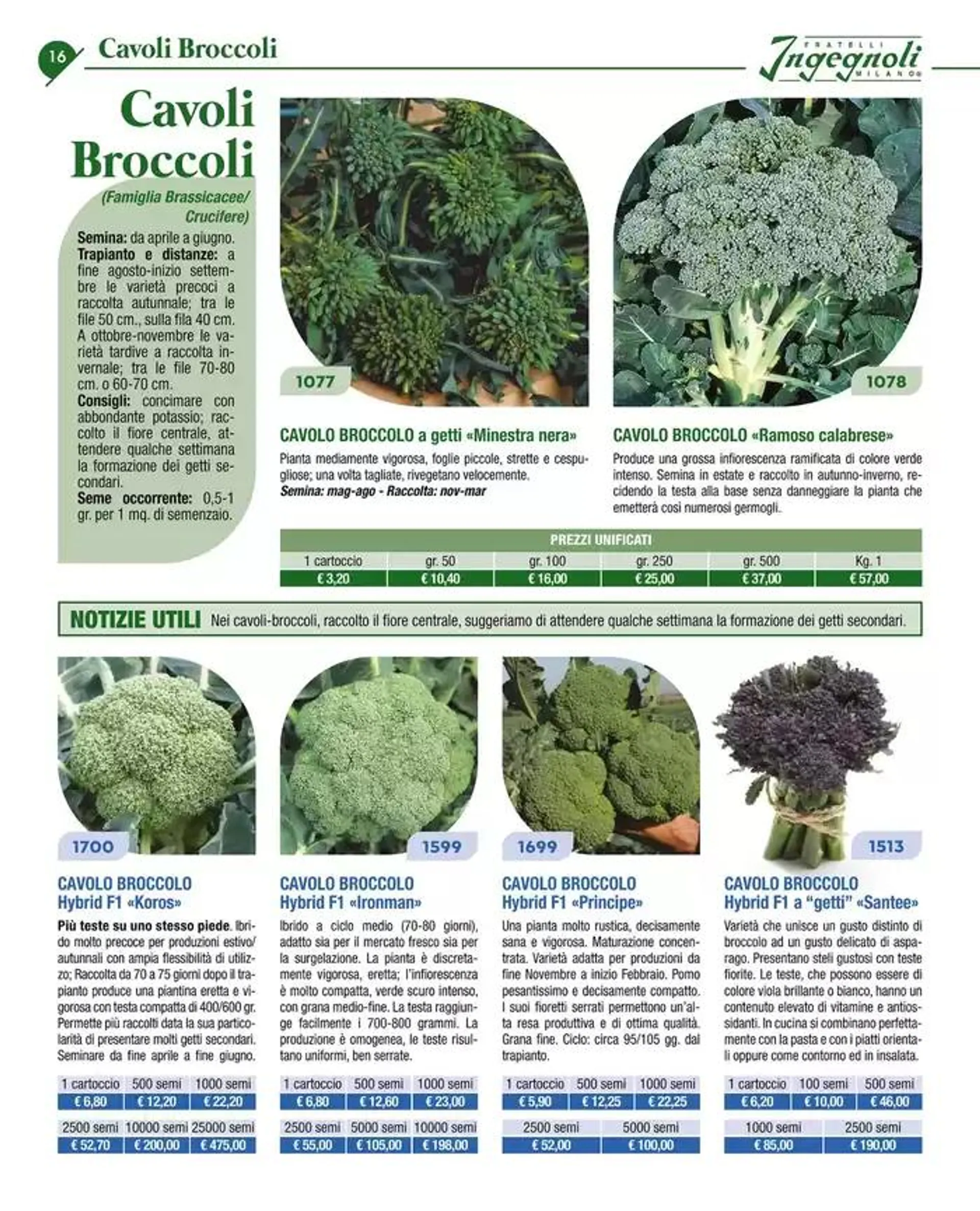 Catalogo guida 2025 da 20 gennaio a 31 dicembre di 2025 - Pagina del volantino 18