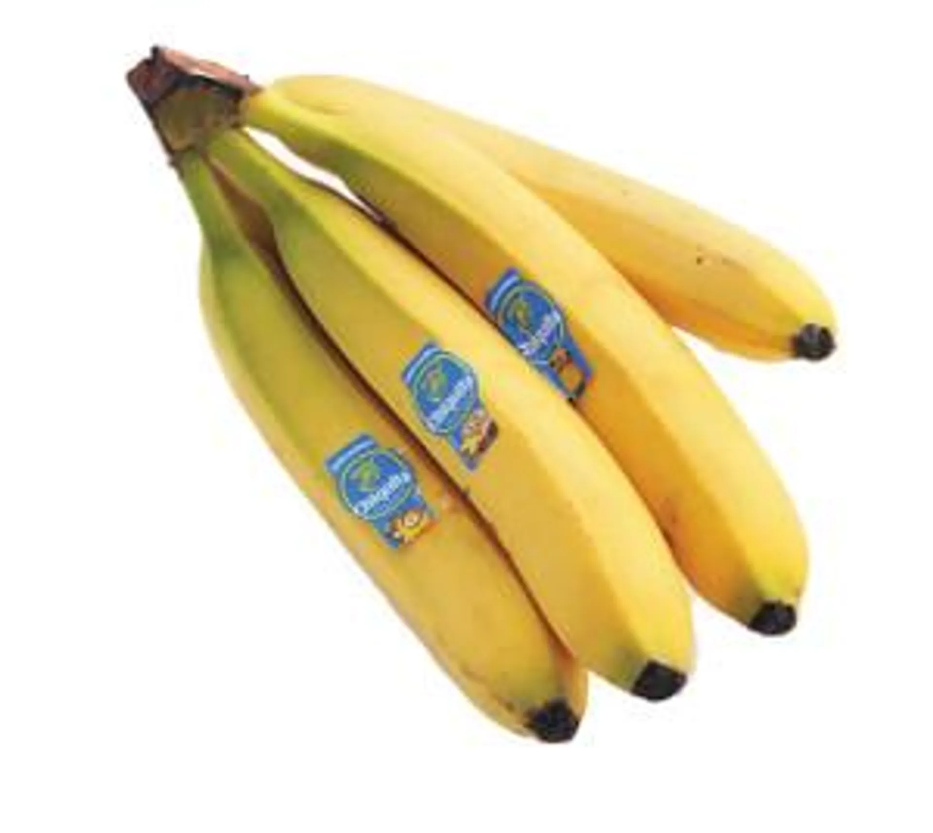 Banane Chiquita