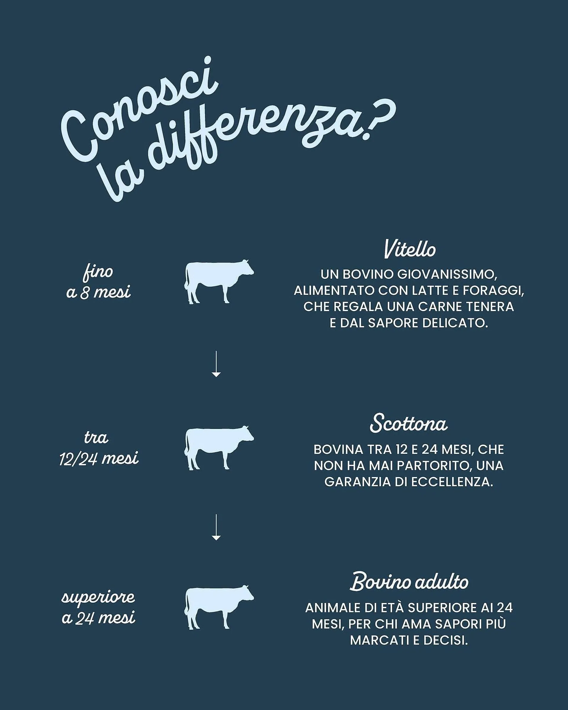 Volantino Centro Carne da 25 giugno a 30 giugno di 2025 - Pagina del volantino 2