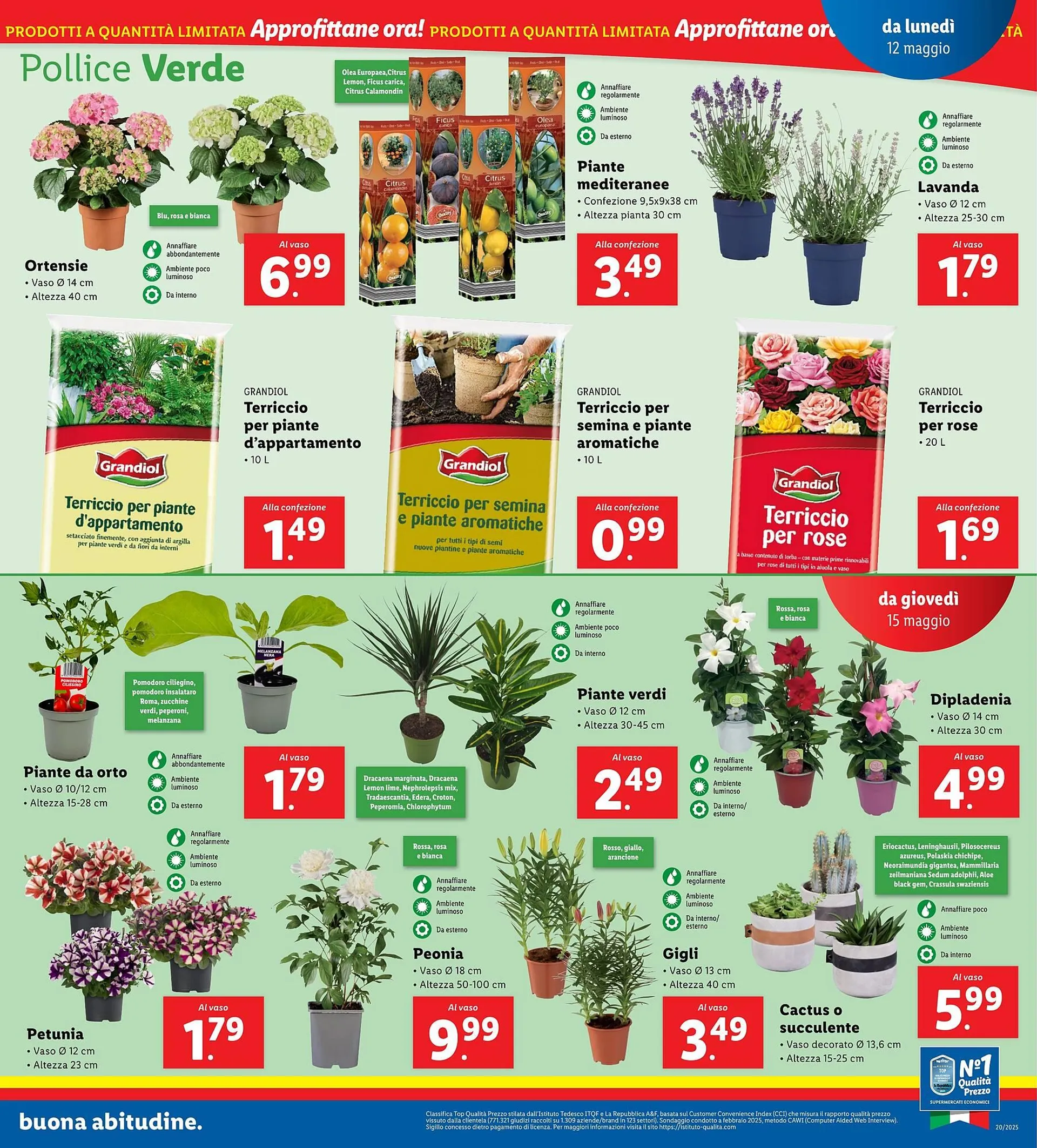 Volantino Lidl da 12 maggio a 18 maggio di 2025 - Pagina del volantino 19