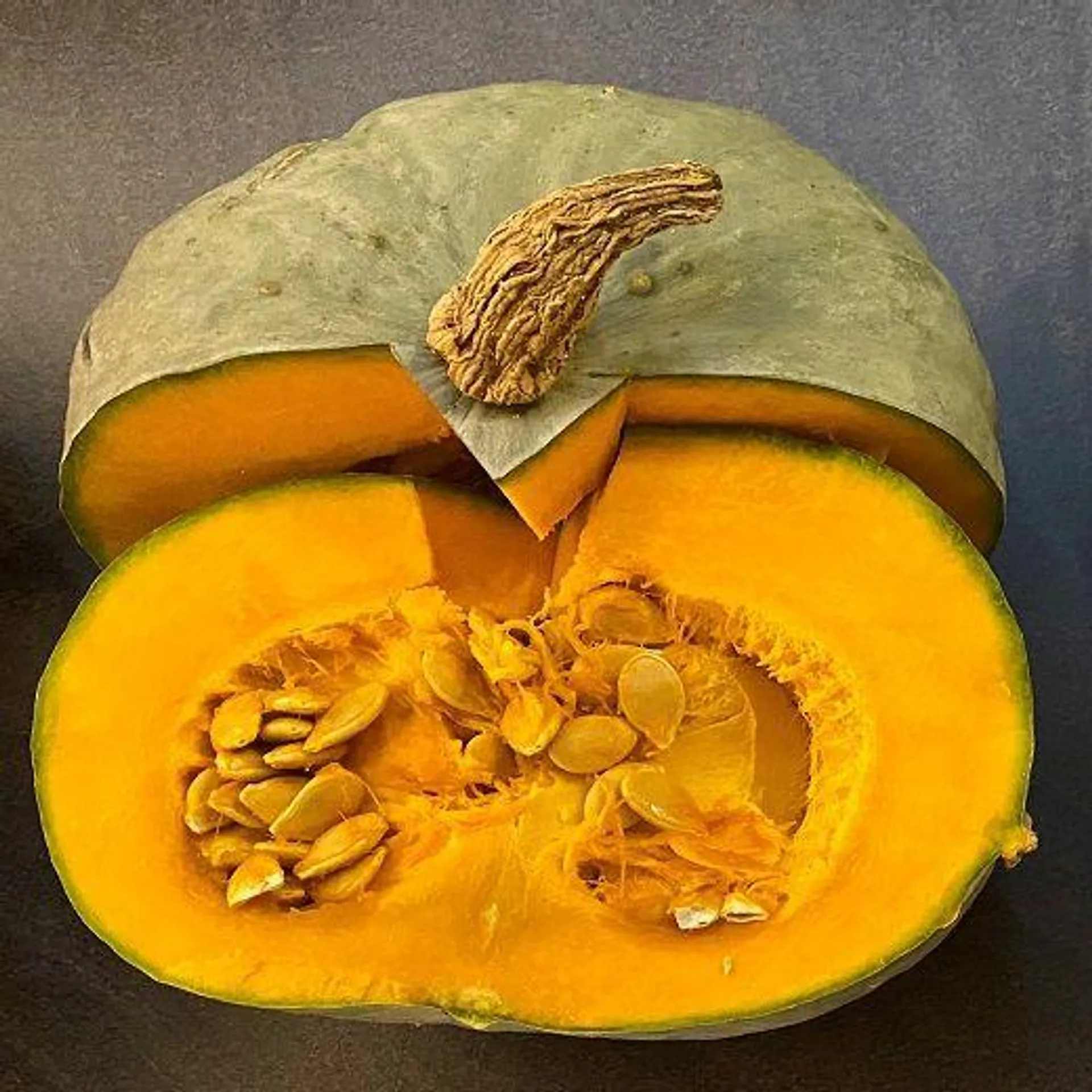 ZUCCA HYBRID F1 - DELICA MOON