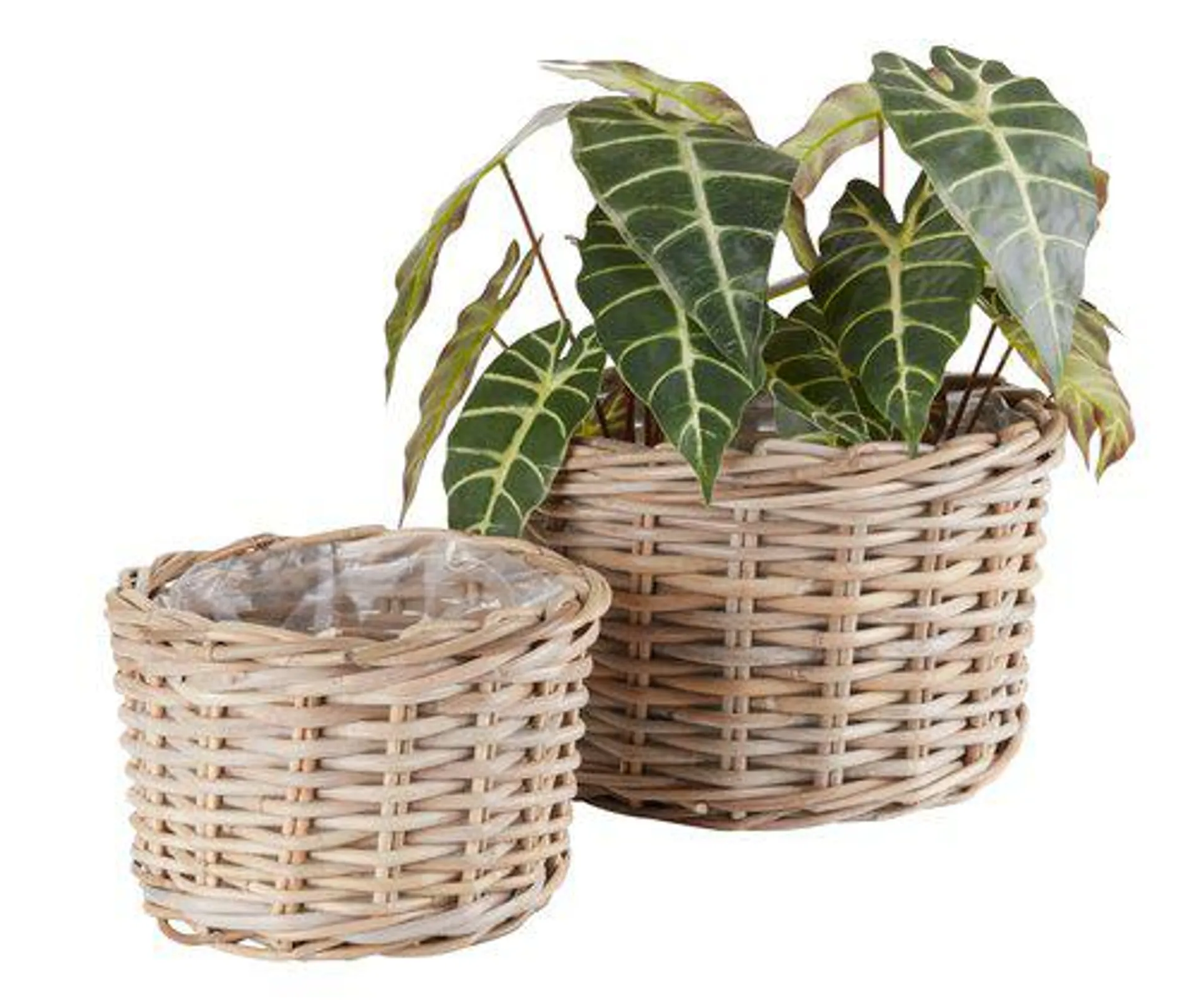 Planter basket SANSEBIE D35/27 kubu natural 2pcs/set