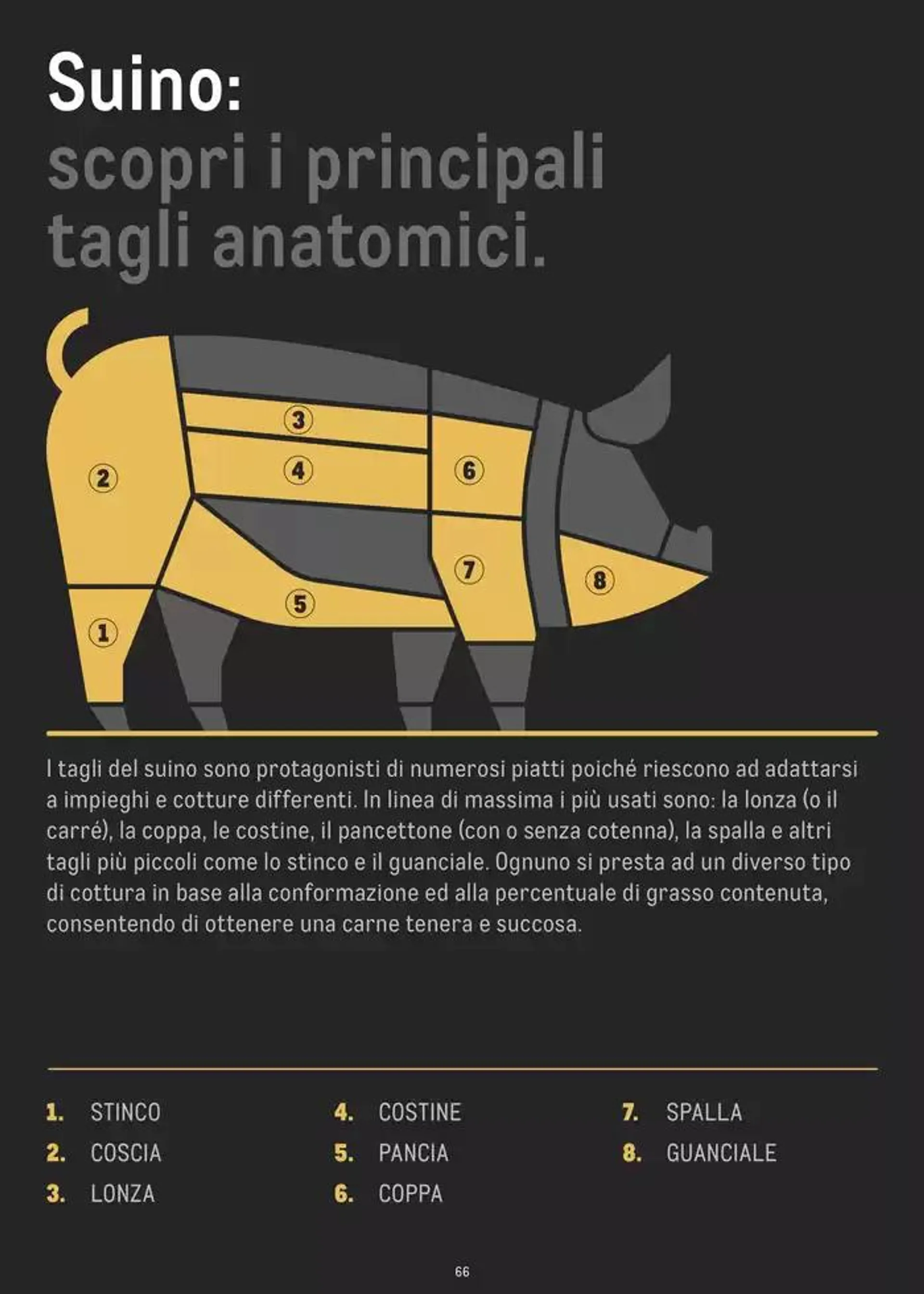 CATALOGO CARNE 2024 da 2 gennaio a 31 agosto di 2025 - Pagina del volantino 66