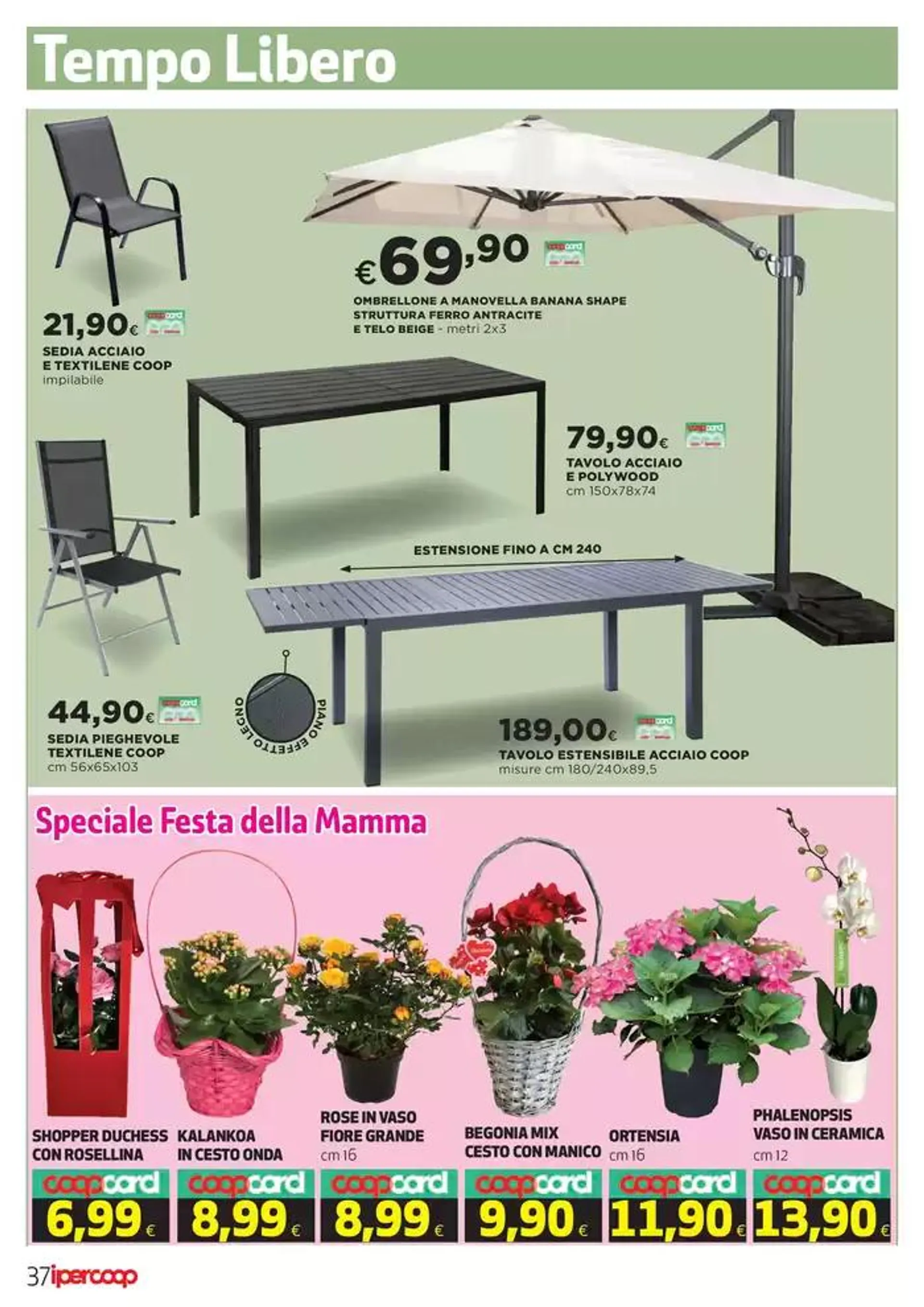 Dal 2 al 13 maggio da 2 maggio a 13 maggio di 2025 - Pagina del volantino 36