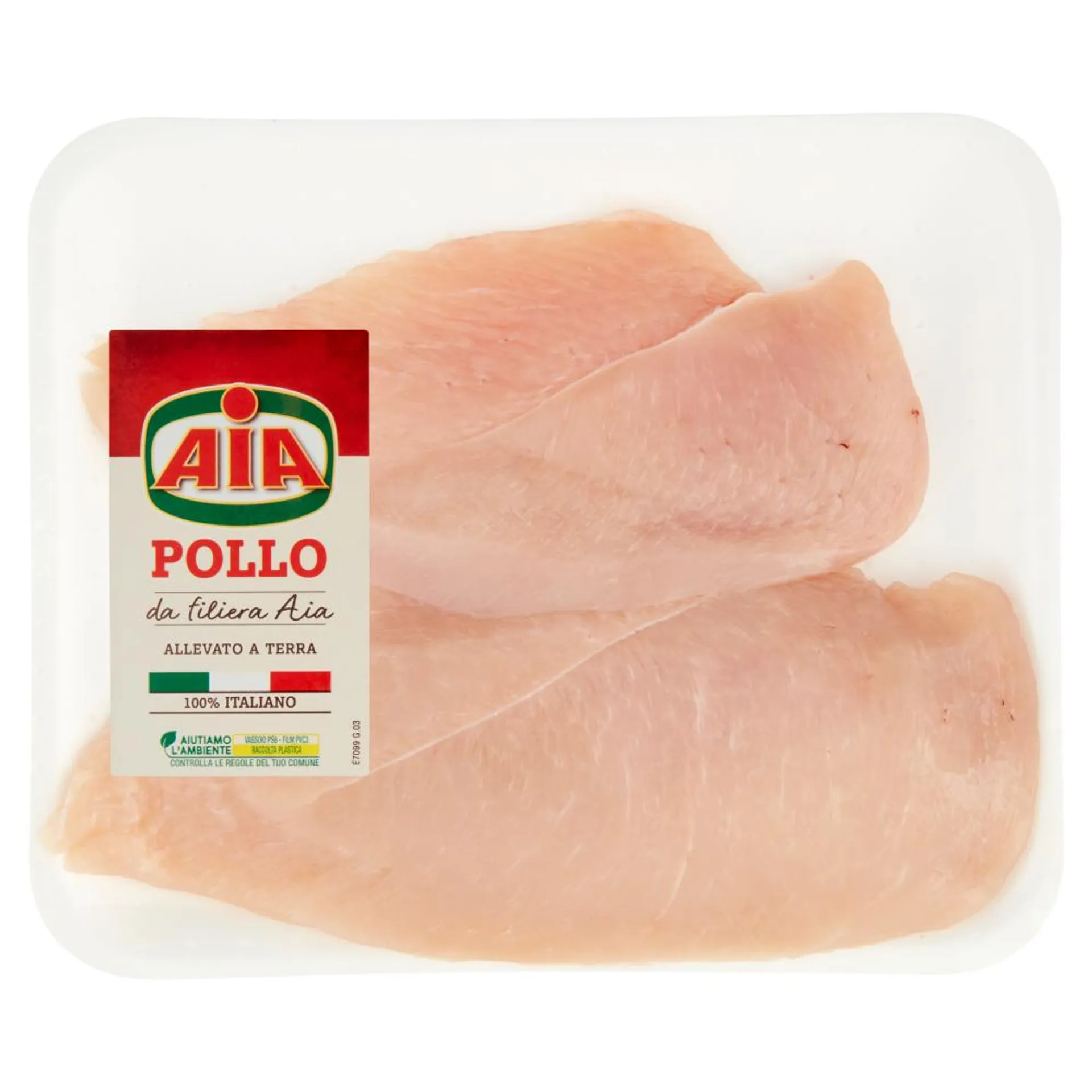 Aia Pollo