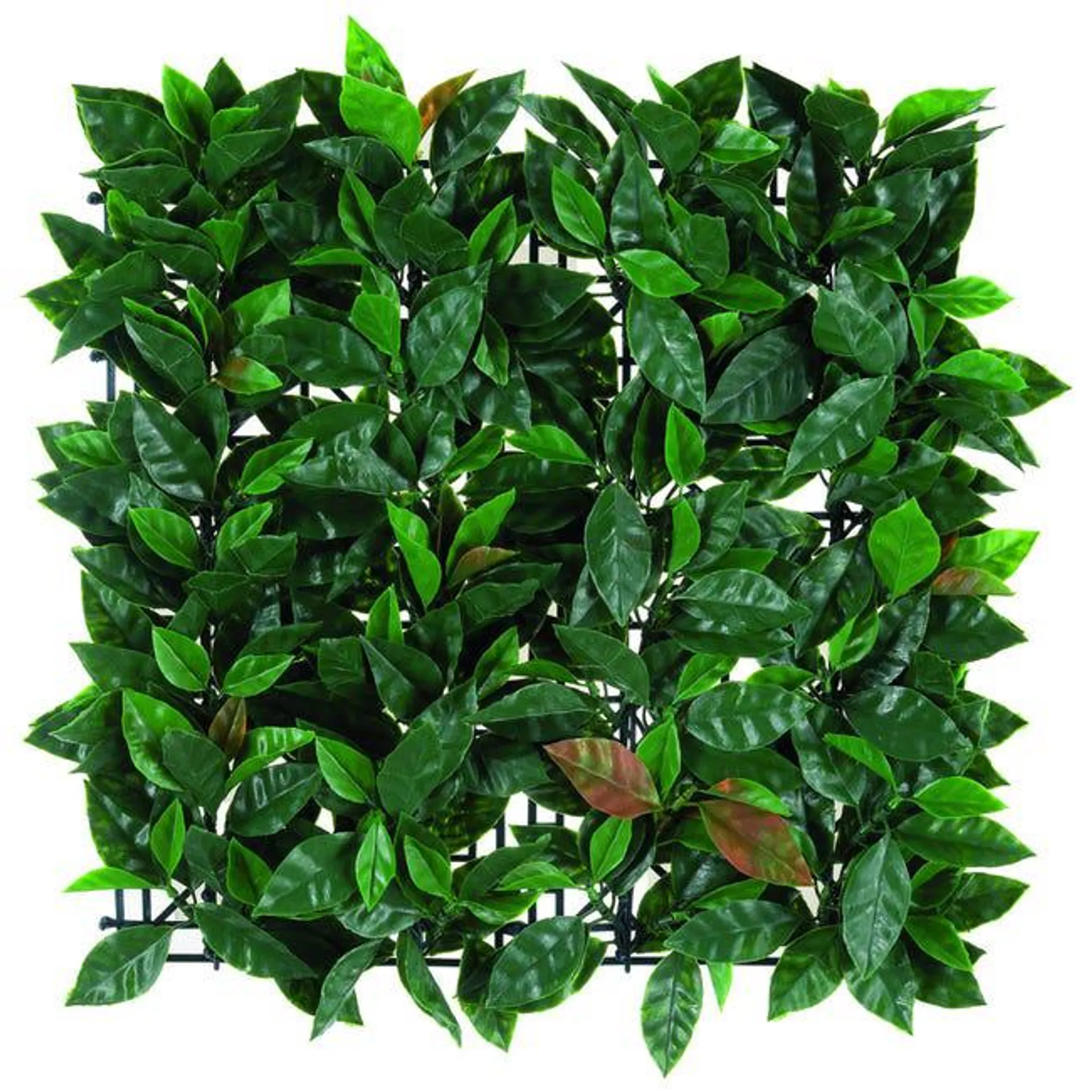 Siepe artificiale Photinia Divy 3D in polietilene, verde H 0.5 m x L 0.5 m Vedi i dettagli del prodotto