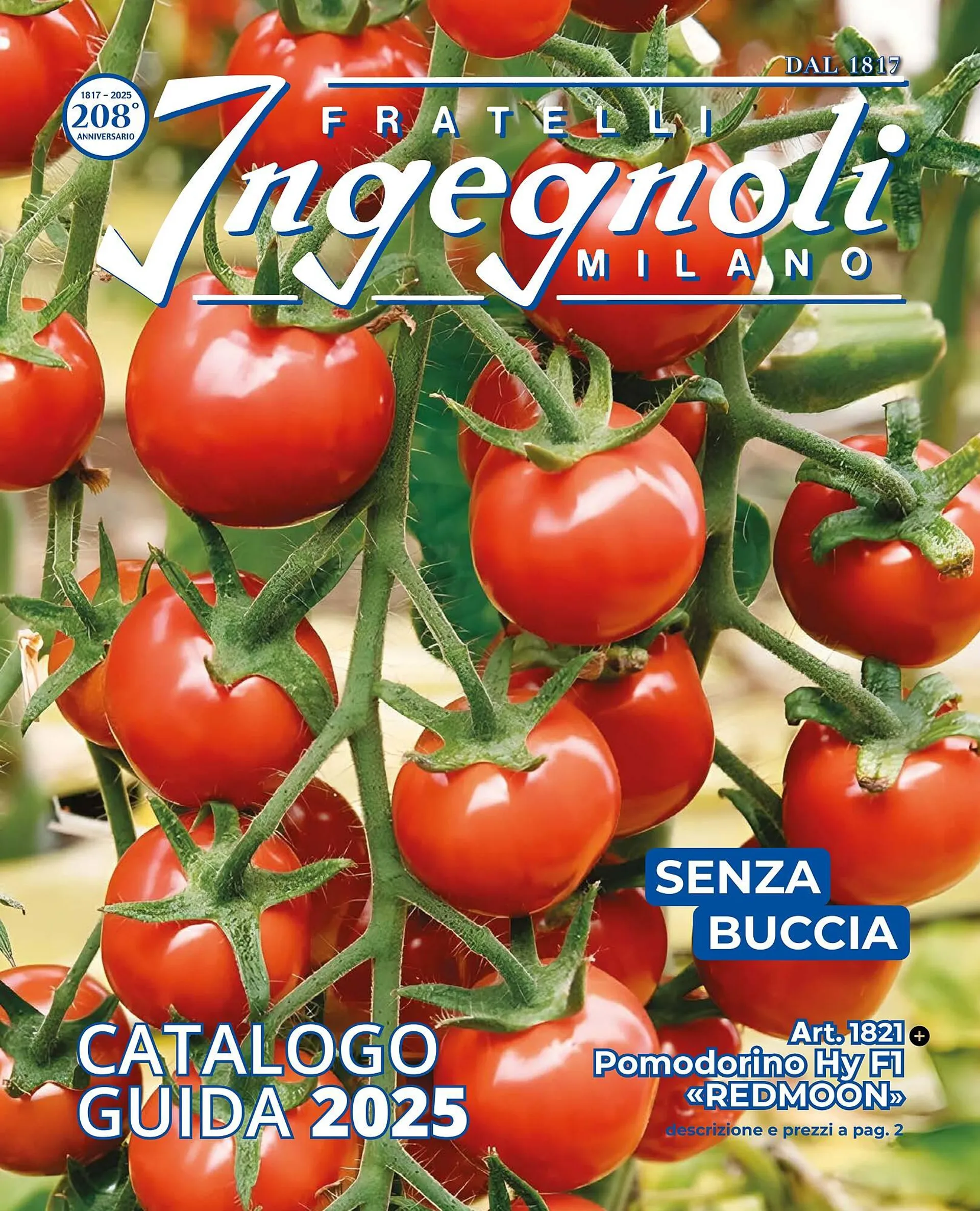 Volantino Ingegnoli - 1