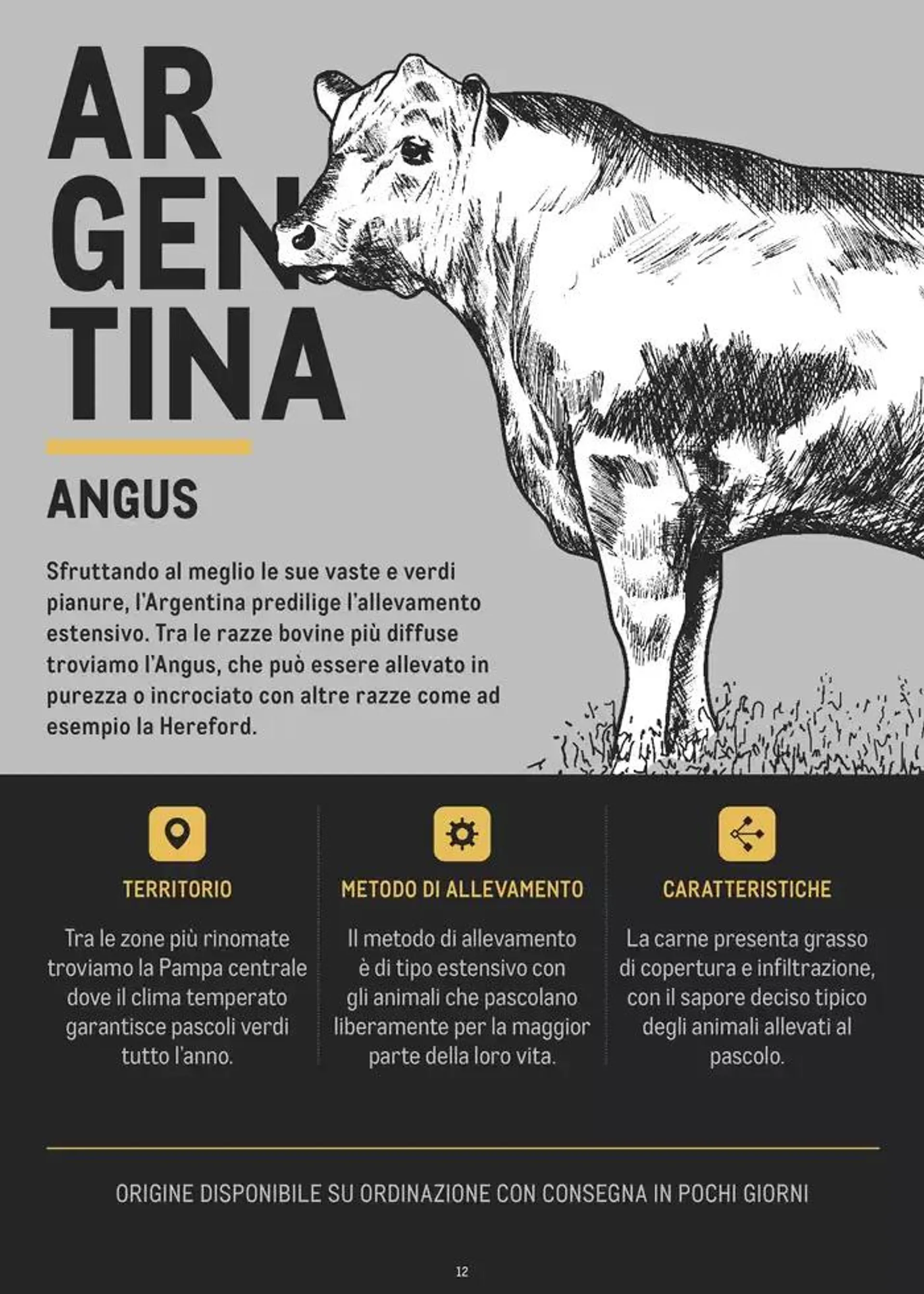 CATALOGO CARNE 2024 da 2 gennaio a 31 agosto di 2025 - Pagina del volantino 12