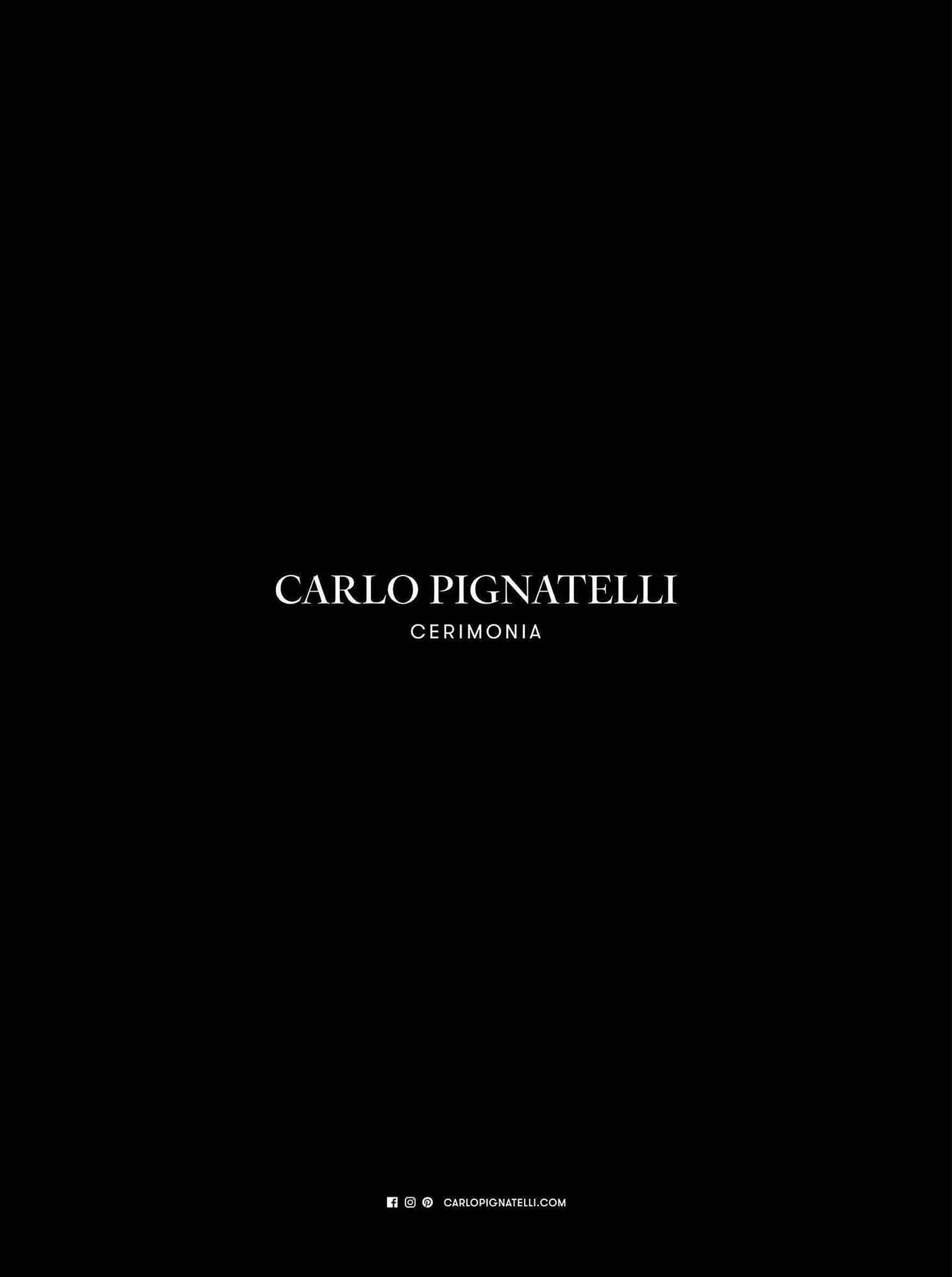 Volantino Carlo Pignatelli da 1 febbraio a 4 gennaio di 2025 - Pagina del volantino 20