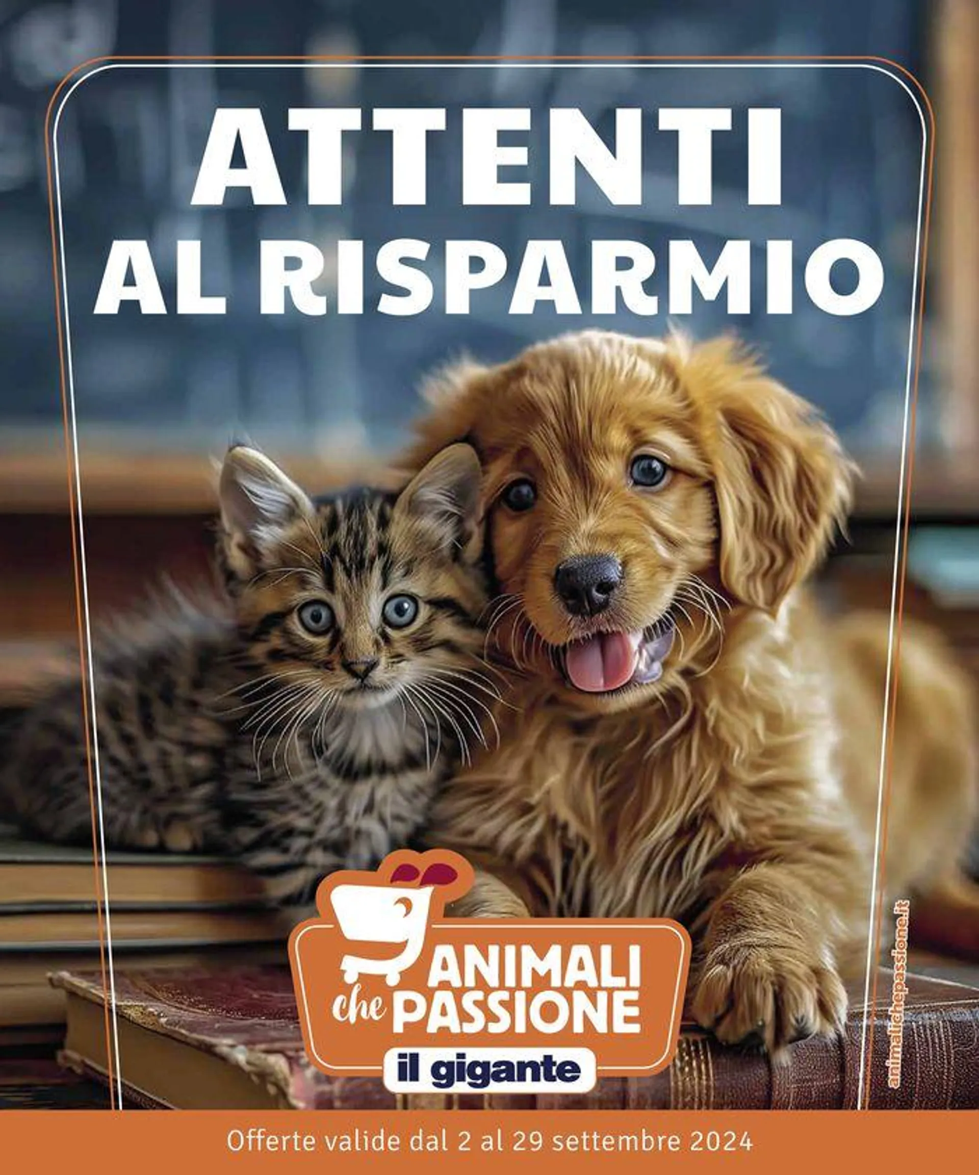 Attenti al risparmio - 1