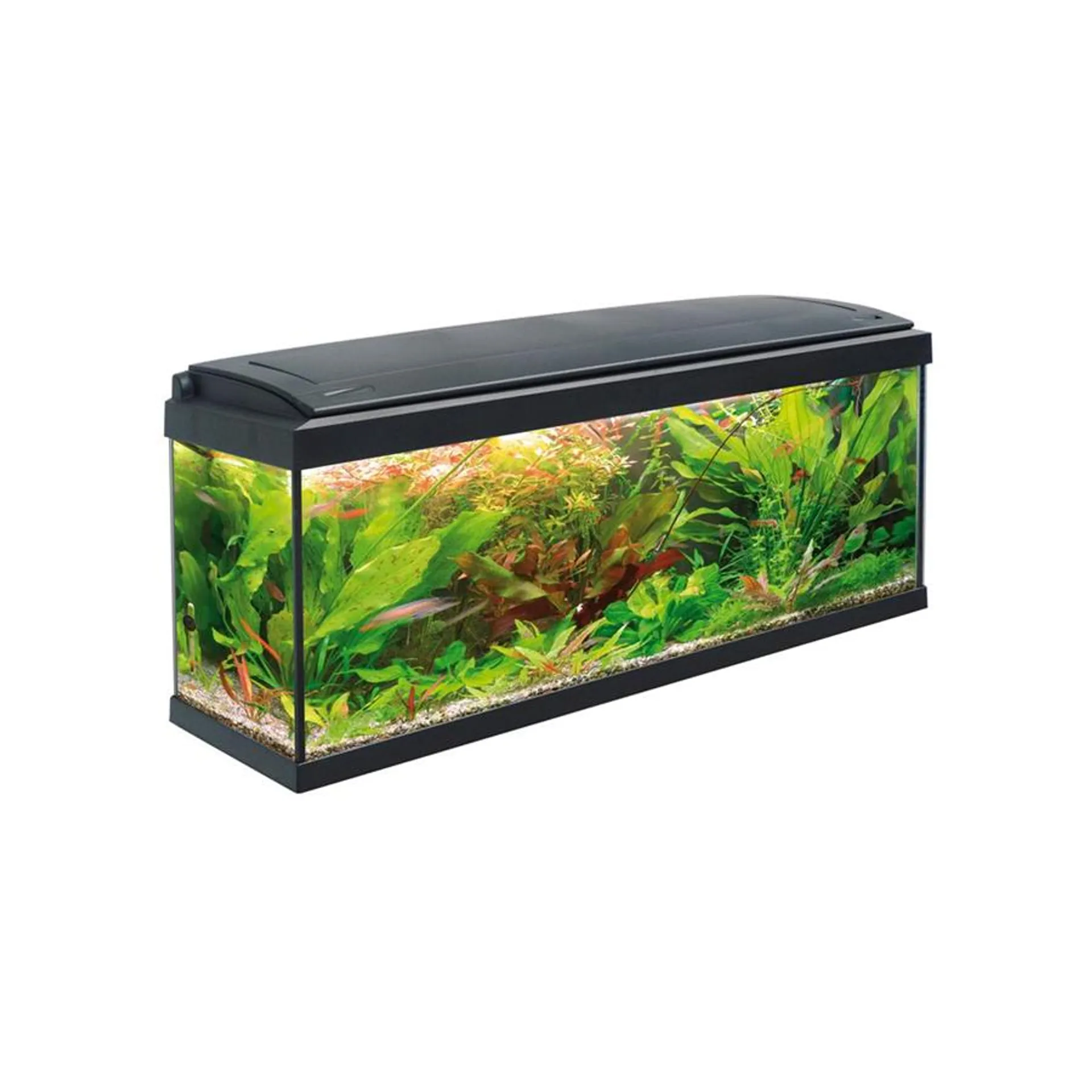 Acquario milo 100 con led