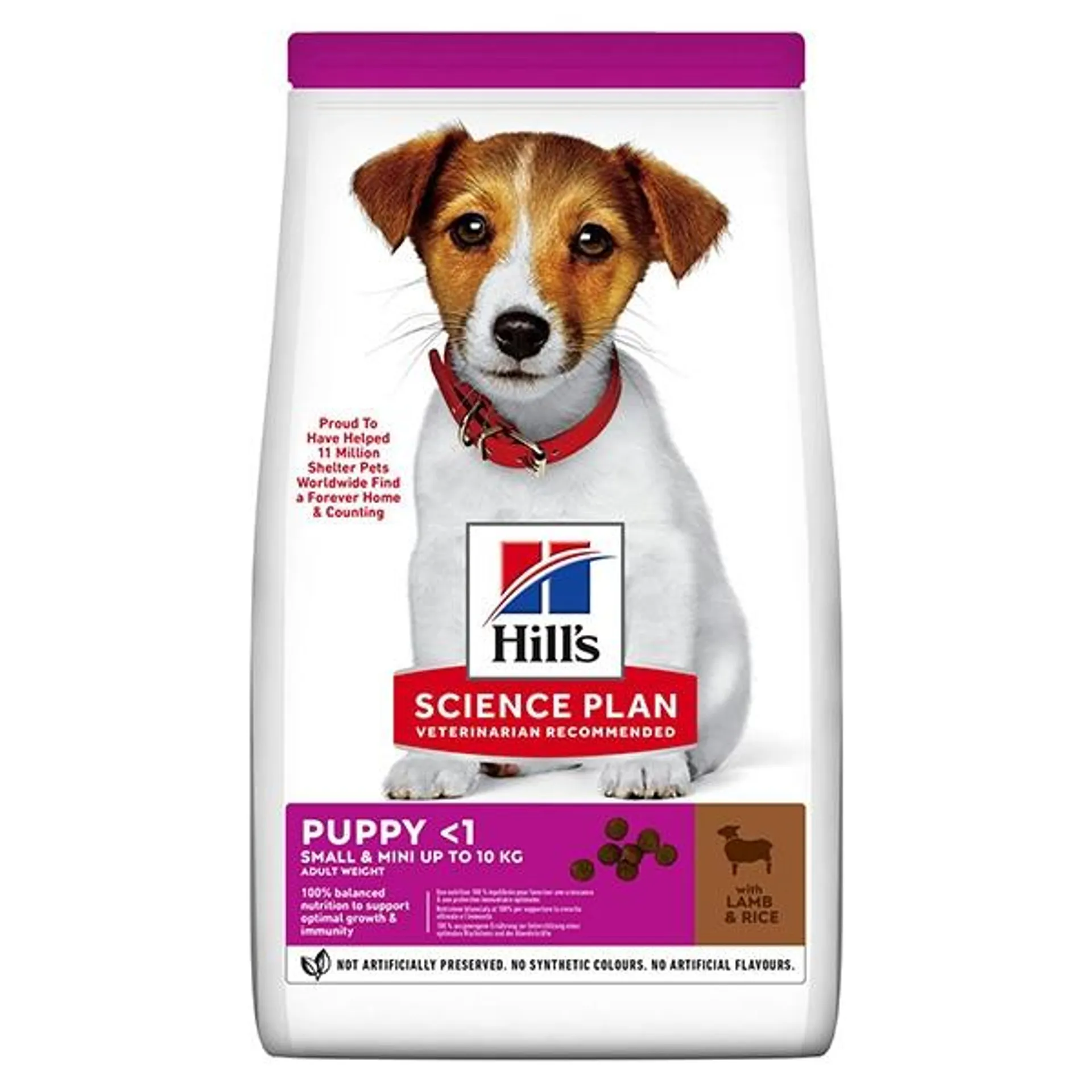 Hill's Pet Nutrition - Science Plan Small & Mini Puppy con Agnello con Riso