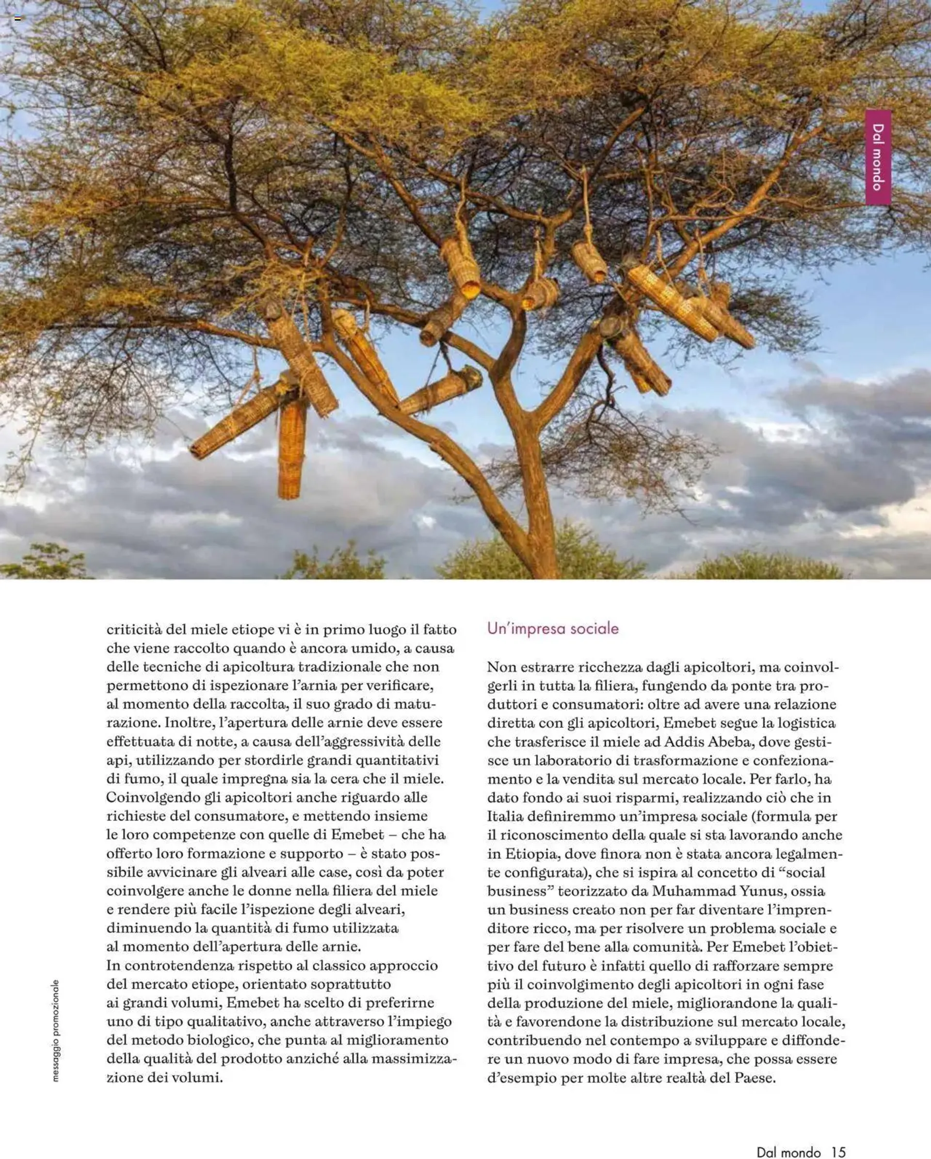 Magazine Settembre - Ottobre Natura Sì da 1 settembre a 31 ottobre di 2024 - Pagina del volantino 15