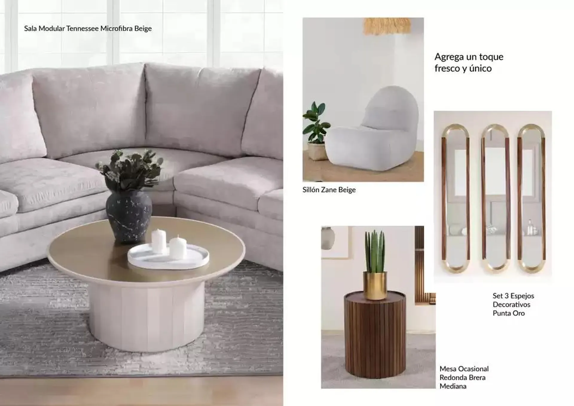 Catálogo de Muebles Dico Primavera Centro 2025 1 de marzo al 31 de marzo 2025 - Pagina 3